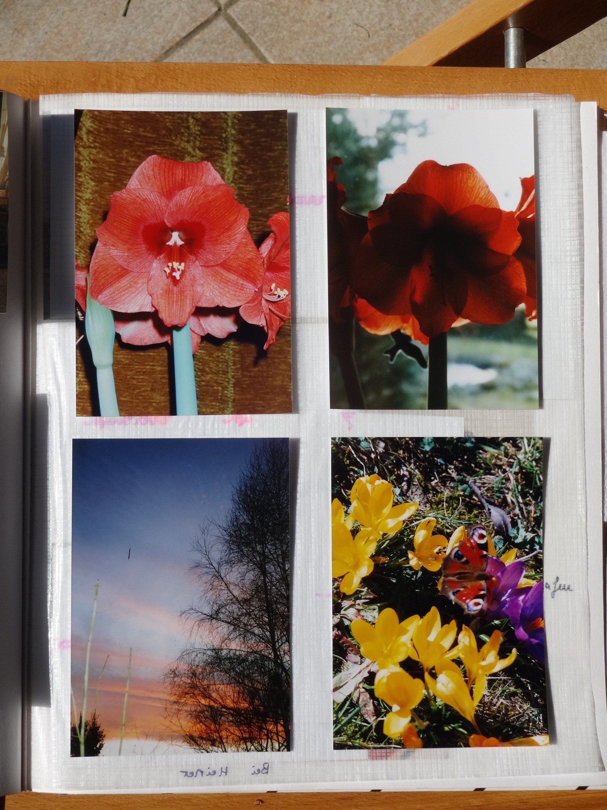 1995_050___von_Ordner___1993_1997