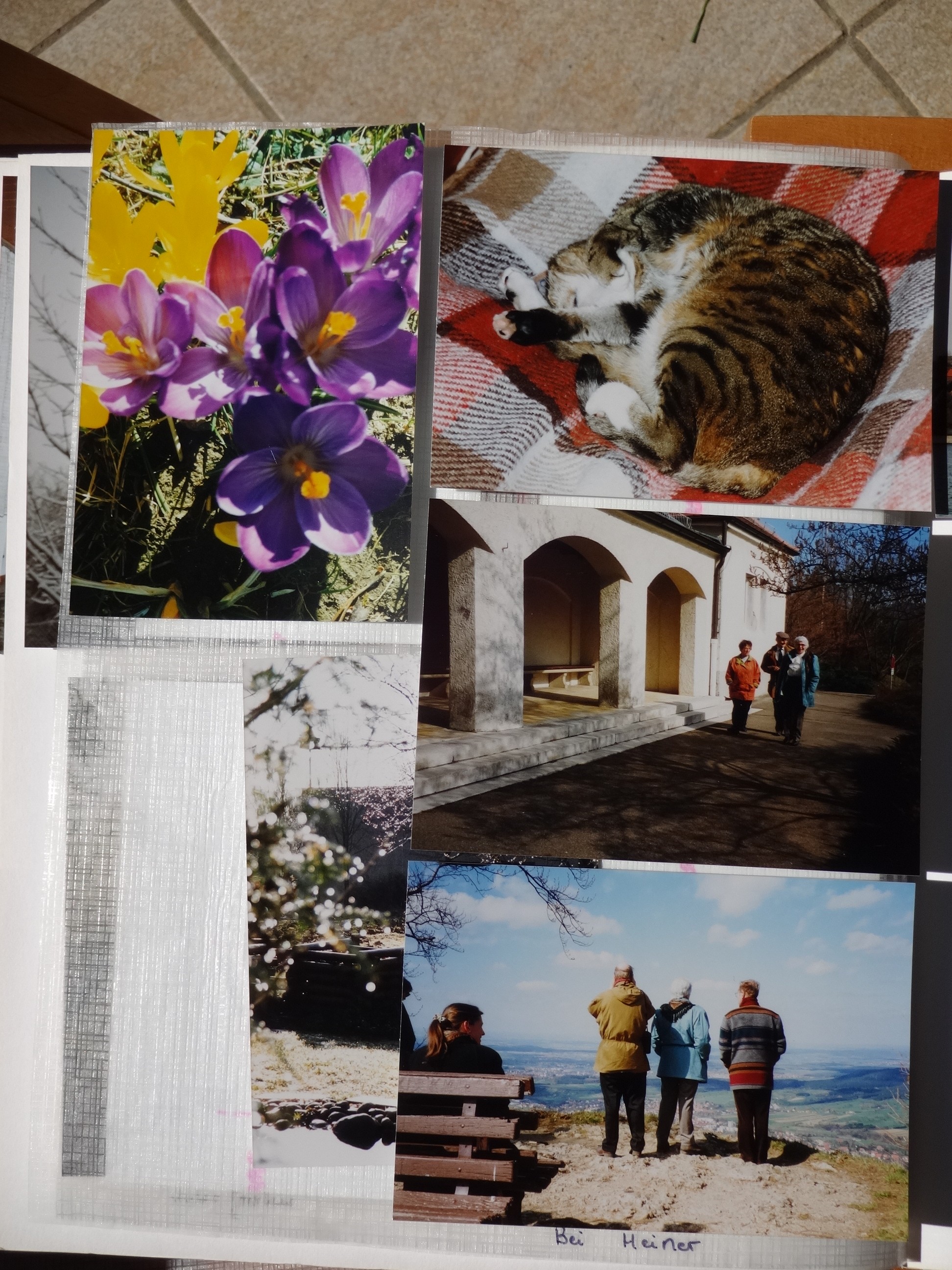 1995_060___von_Ordner___1993_1997