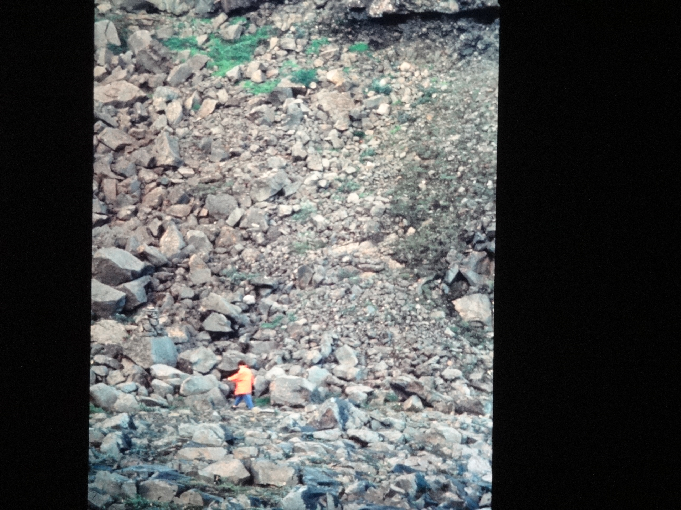 1995_brixe_nordland730___von_Ordner___1995_brixe_nordland