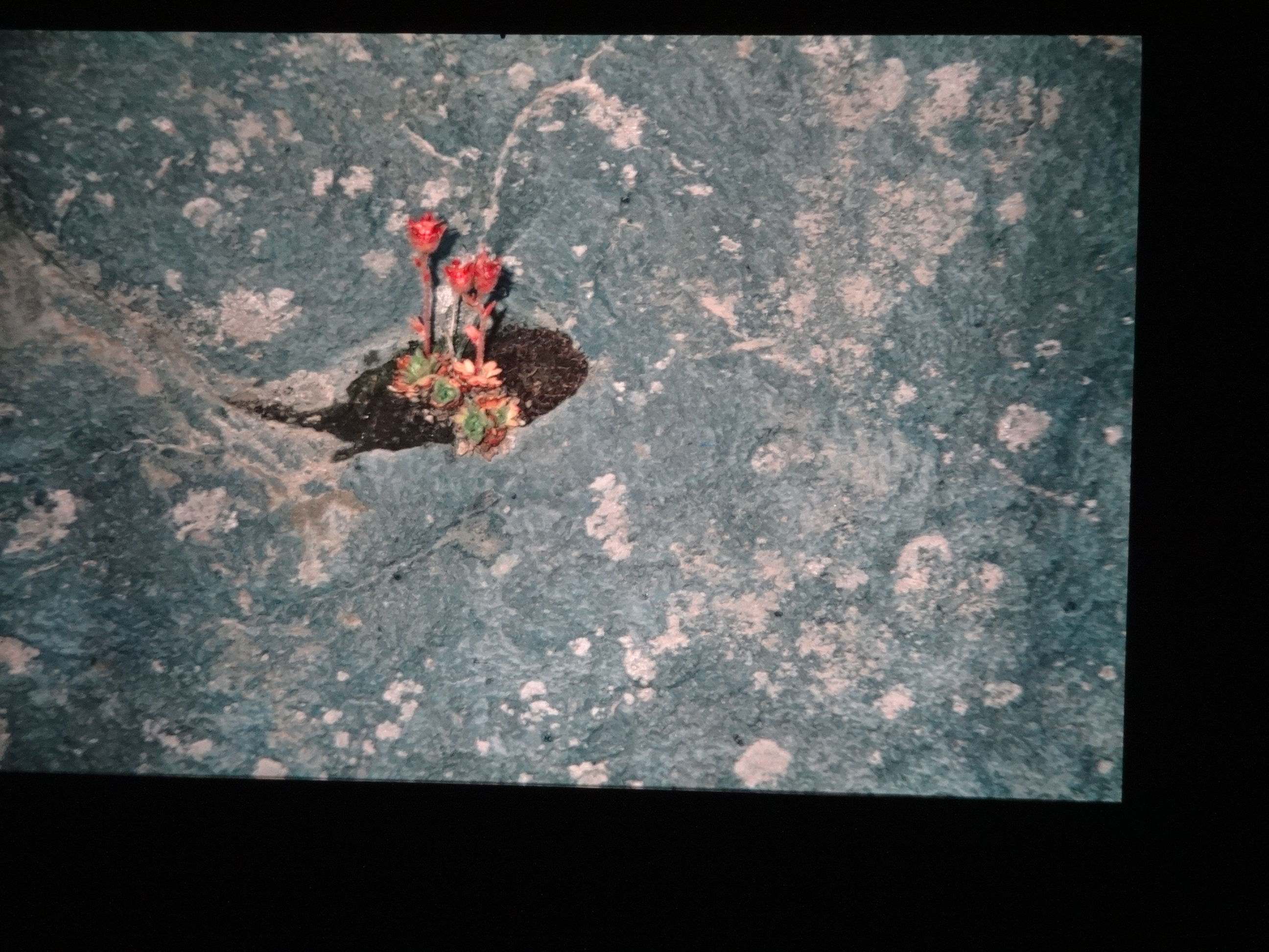 1995_brixe_nordland740___von_Ordner___1995_brixe_nordland