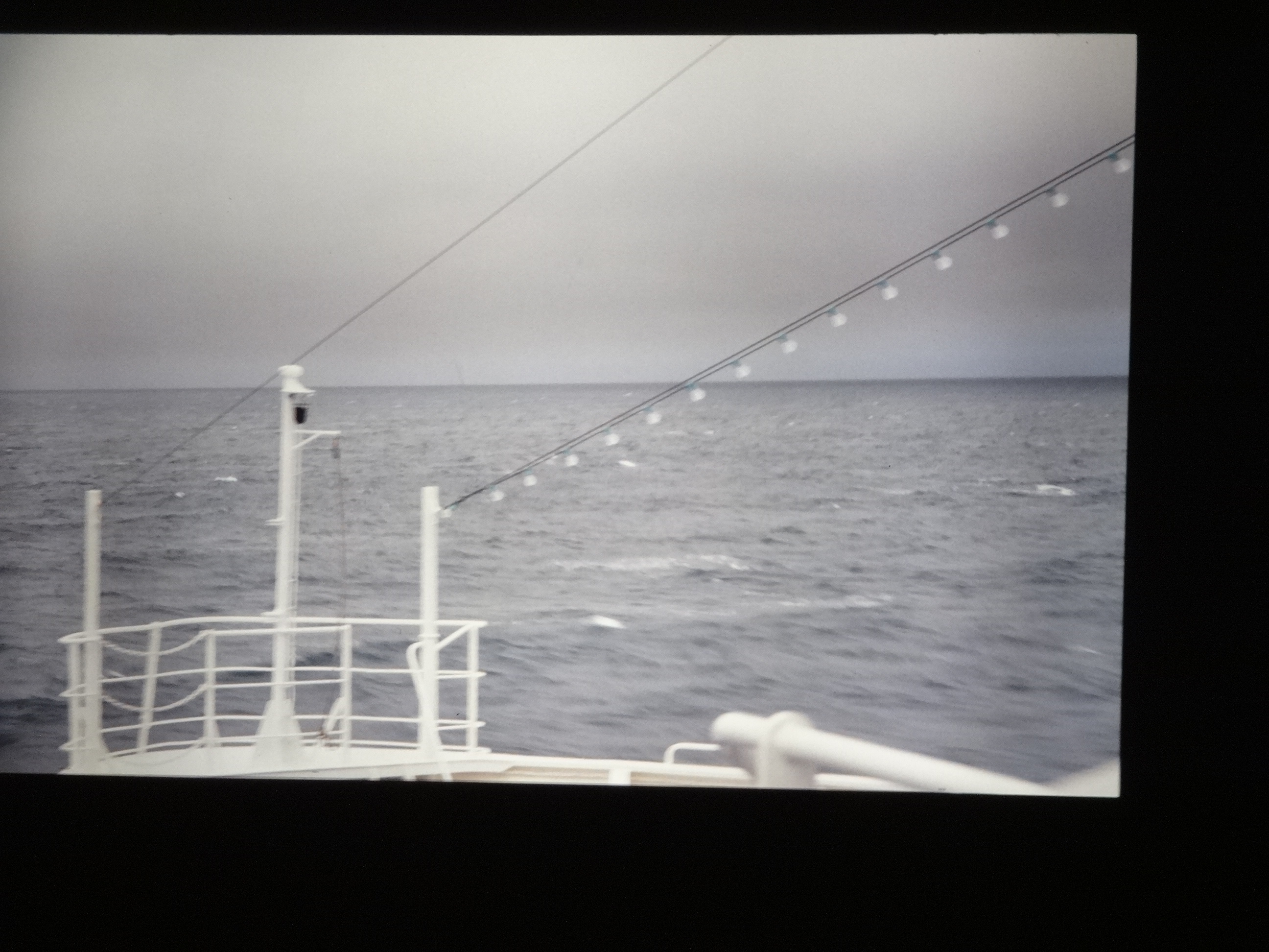 1995_brixe_nordland800___von_Ordner___1995_brixe_nordland