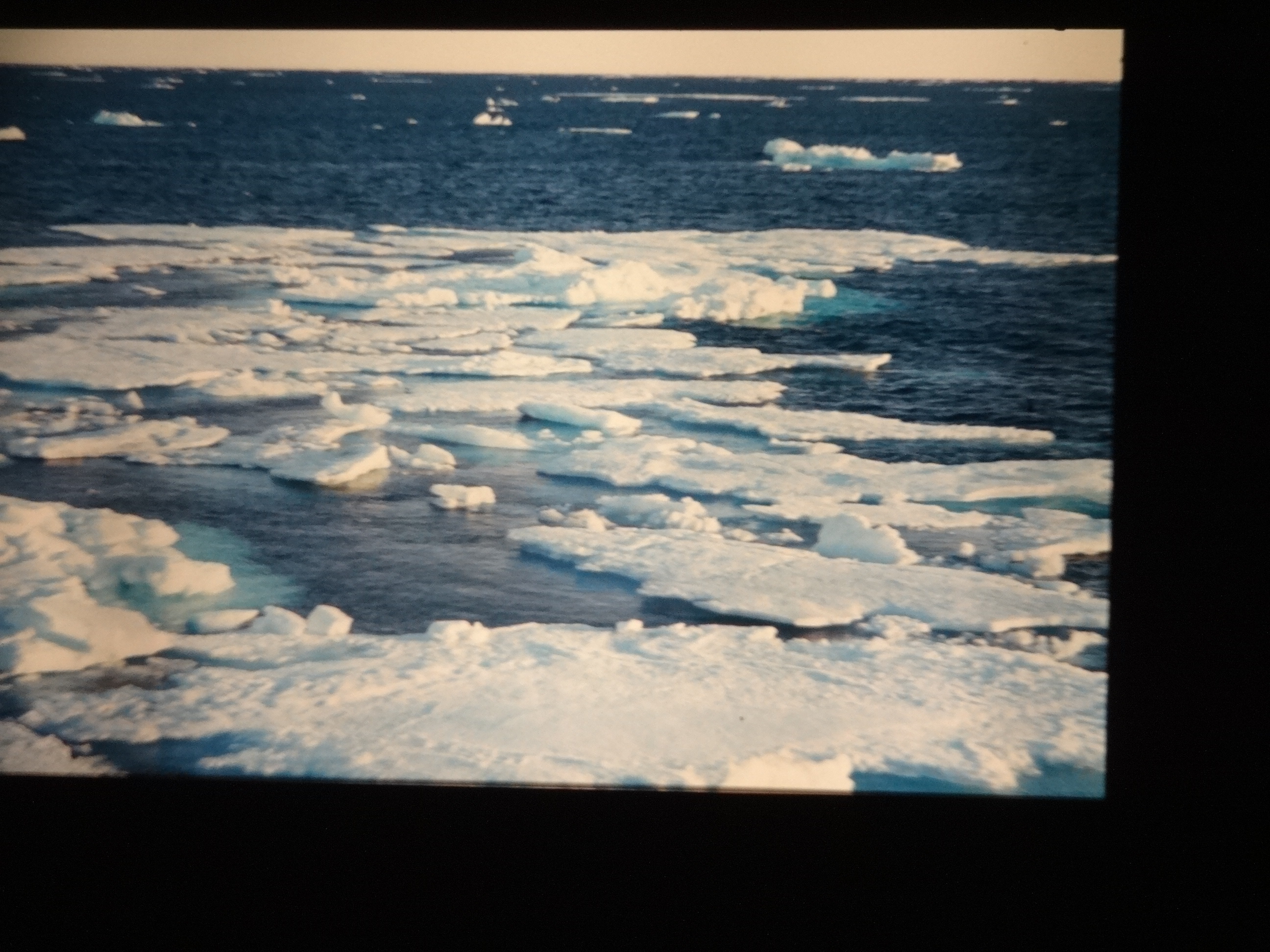 1995_brixe_nordland910___von_Ordner___1995_brixe_nordland