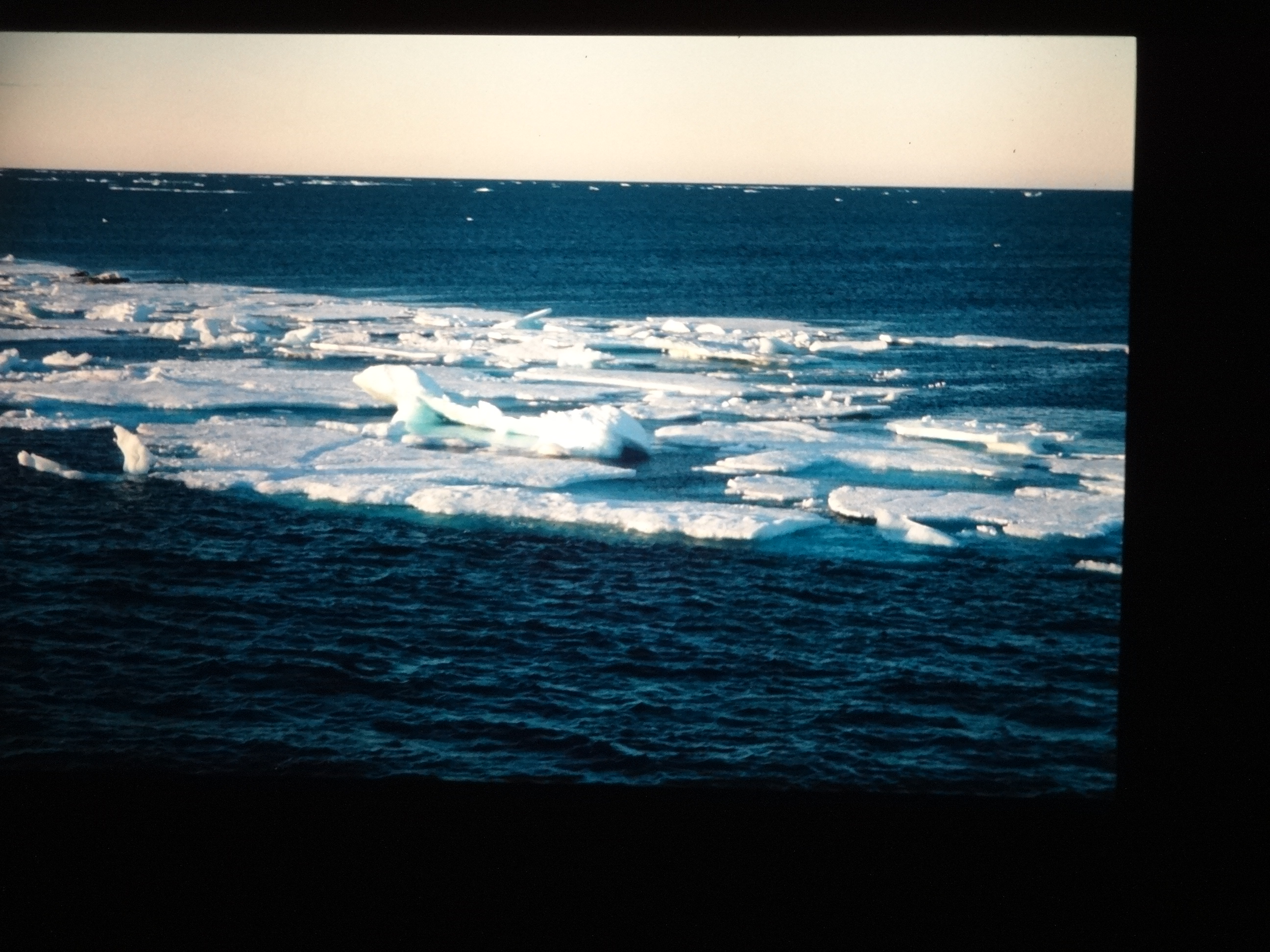 1995_brixe_nordland930___von_Ordner___1995_brixe_nordland