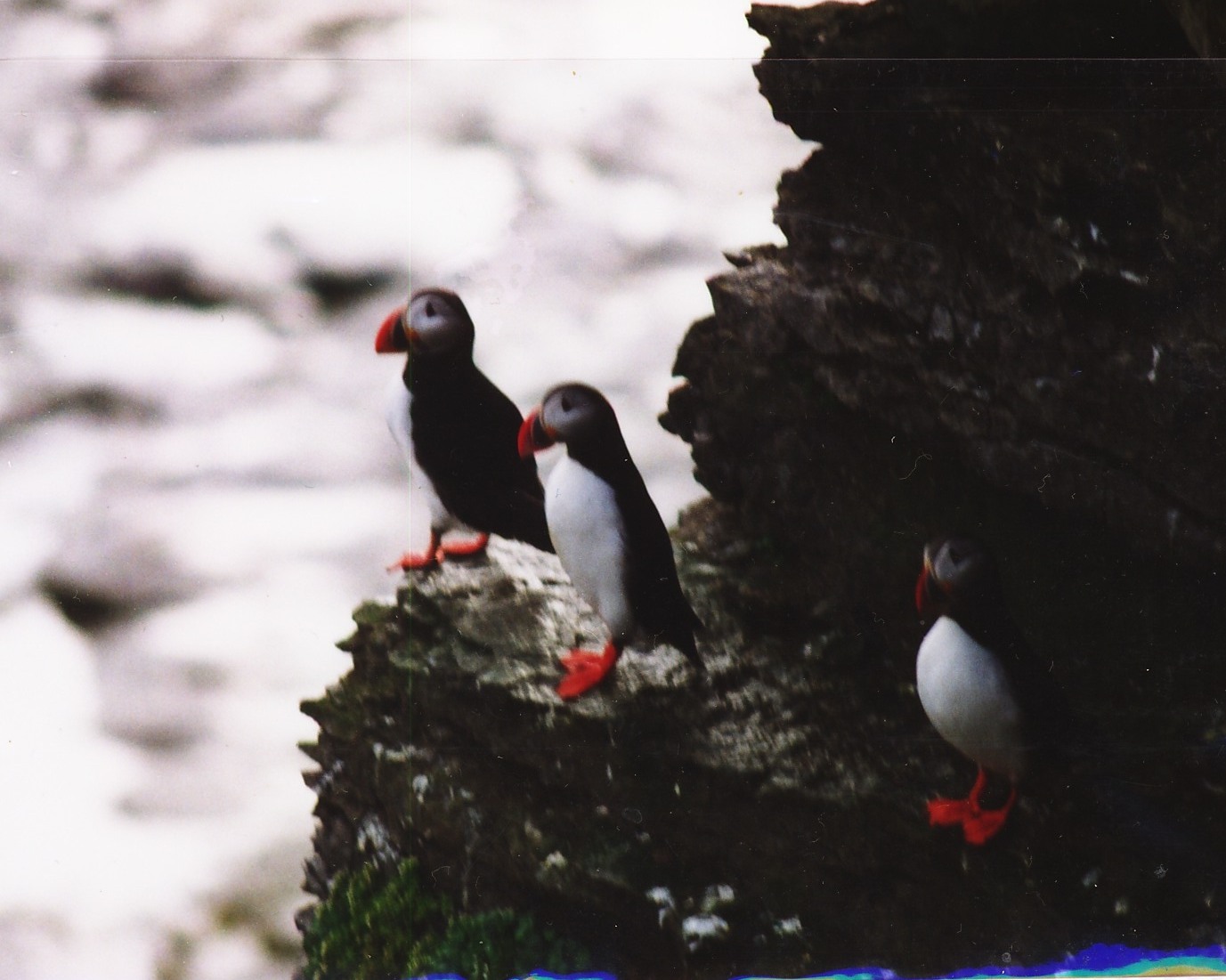 1995_extra_nordlandreise4