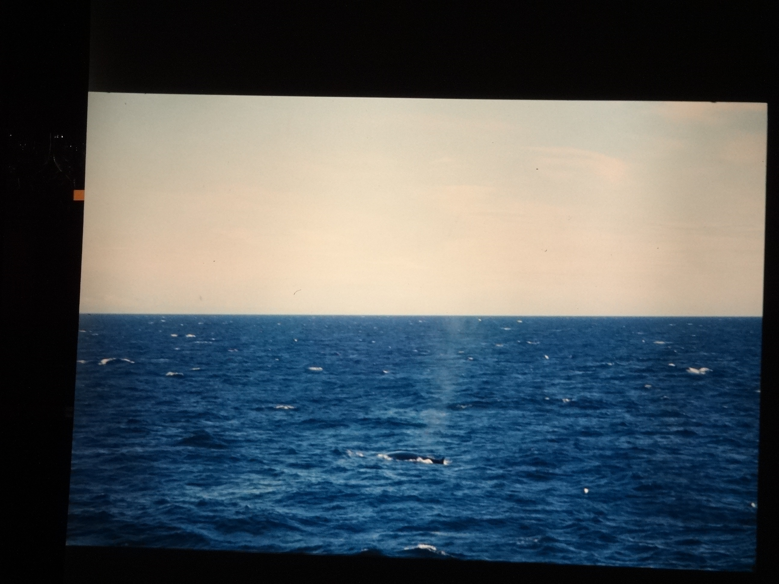 1995b_nordlansreise010___von_Ordner___1995_brixe_nordland