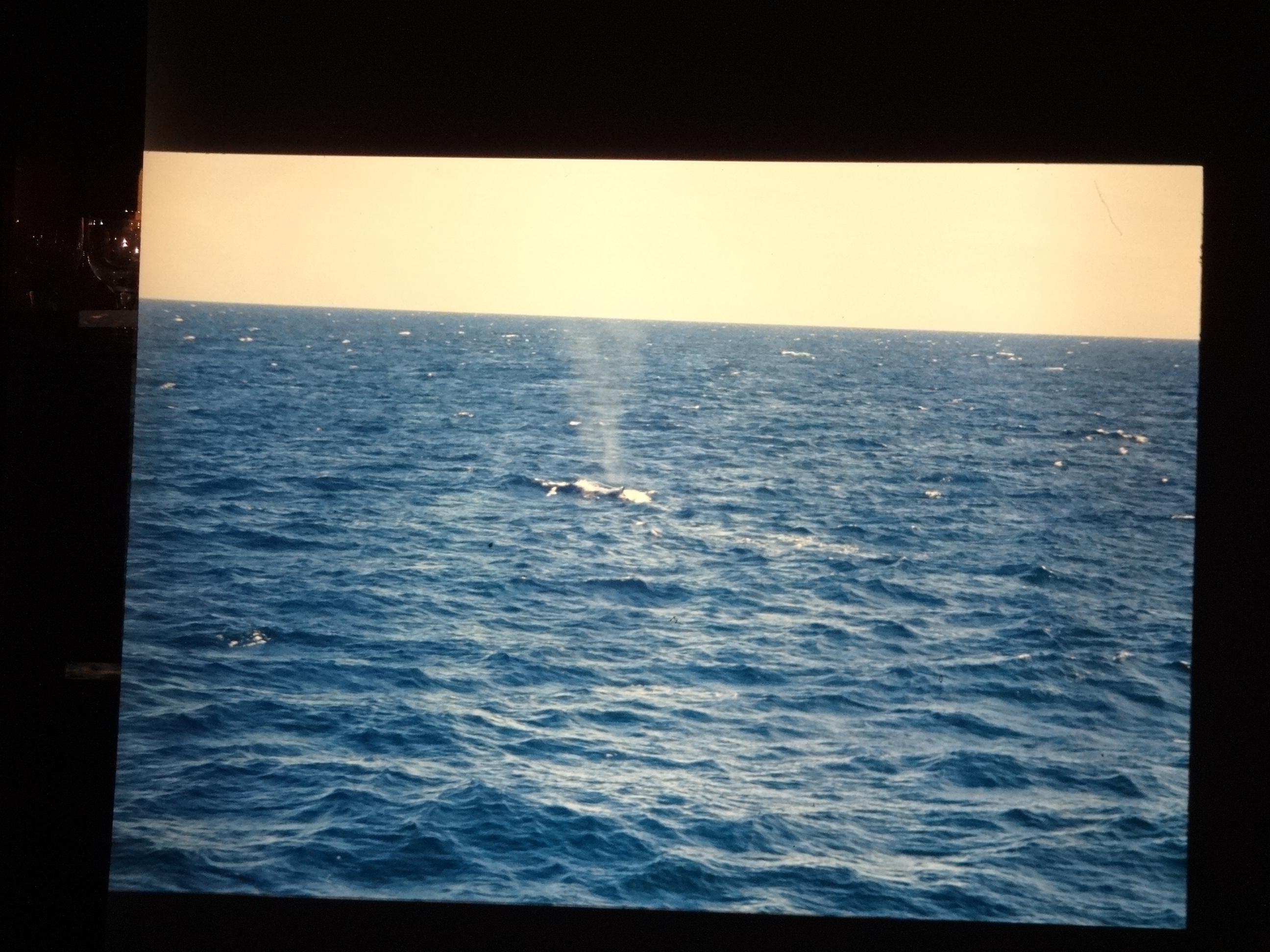 1995b_nordlansreise020___von_Ordner___1995_brixe_nordland