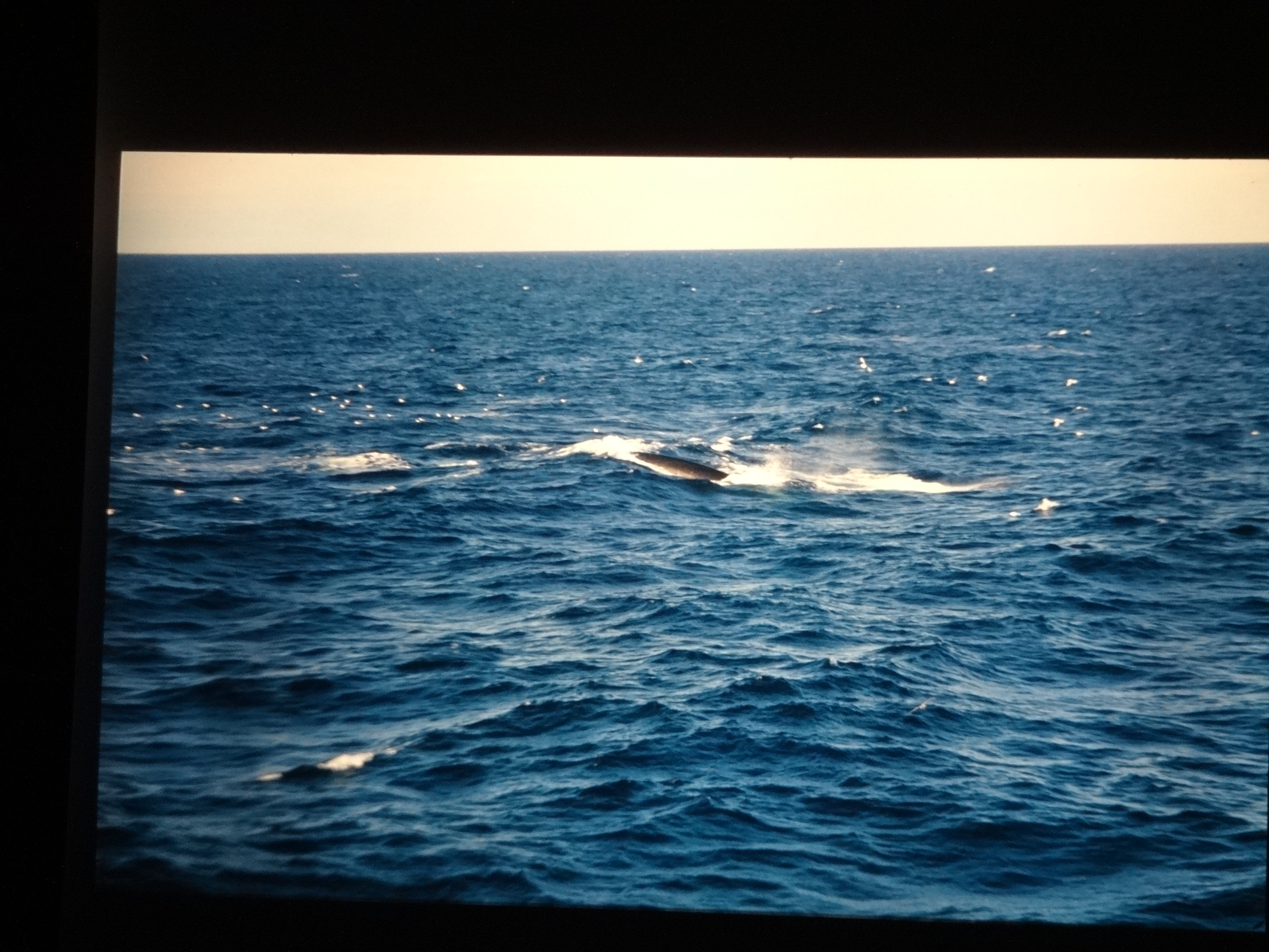 1995b_nordlansreise050___von_Ordner___1995_brixe_nordland