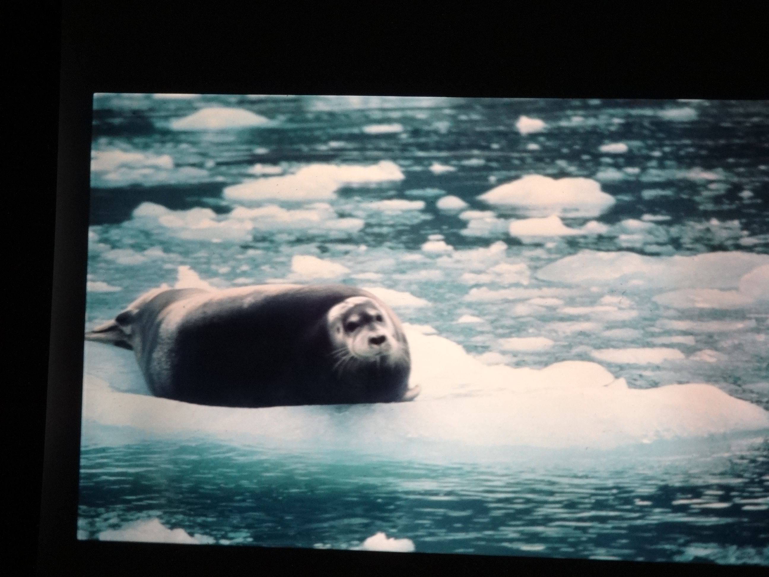 1995b_nordlansreise220___von_Ordner___1995_brixe_nordland