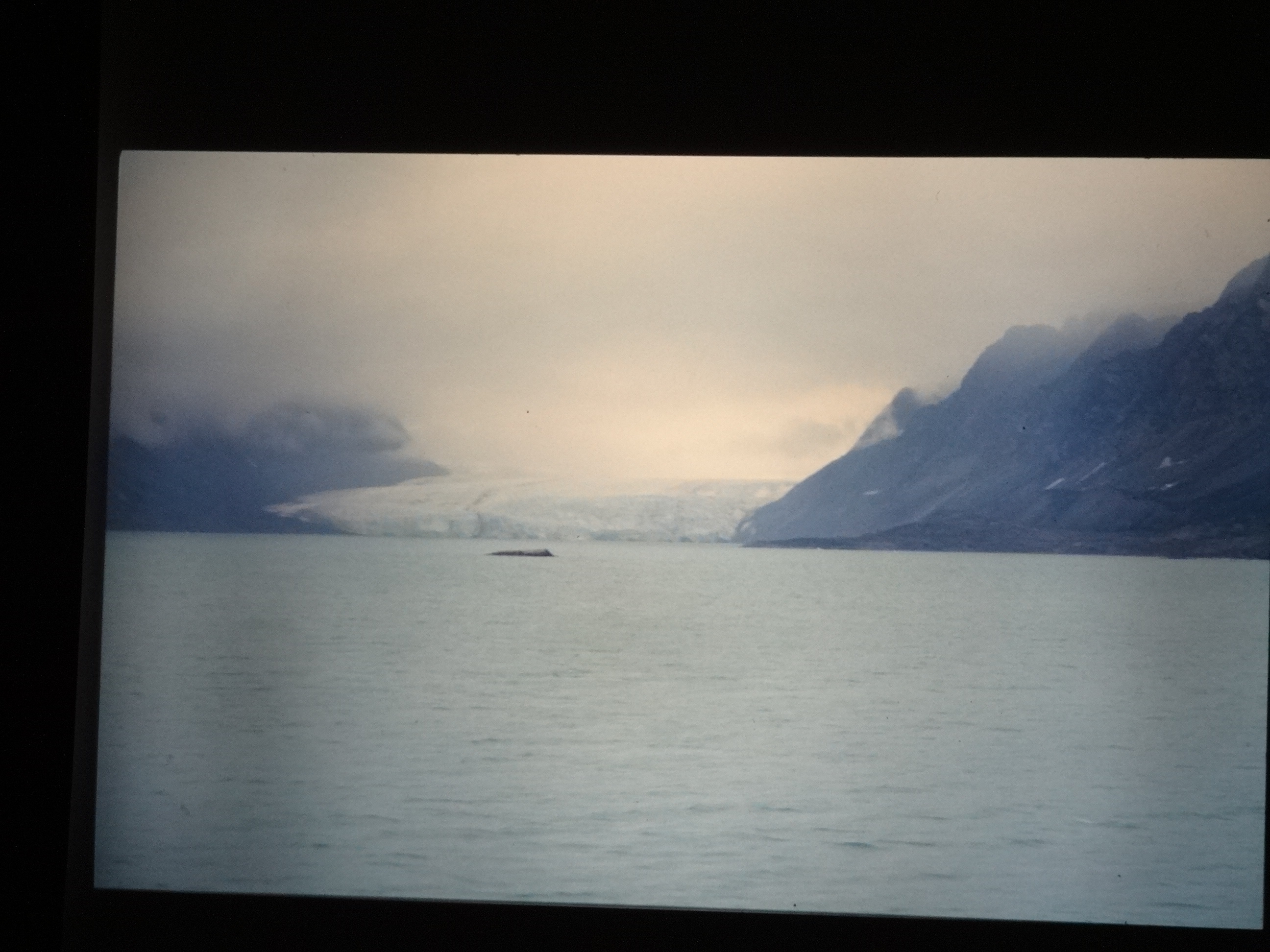 1995b_nordlansreise280___von_Ordner___1995_brixe_nordland