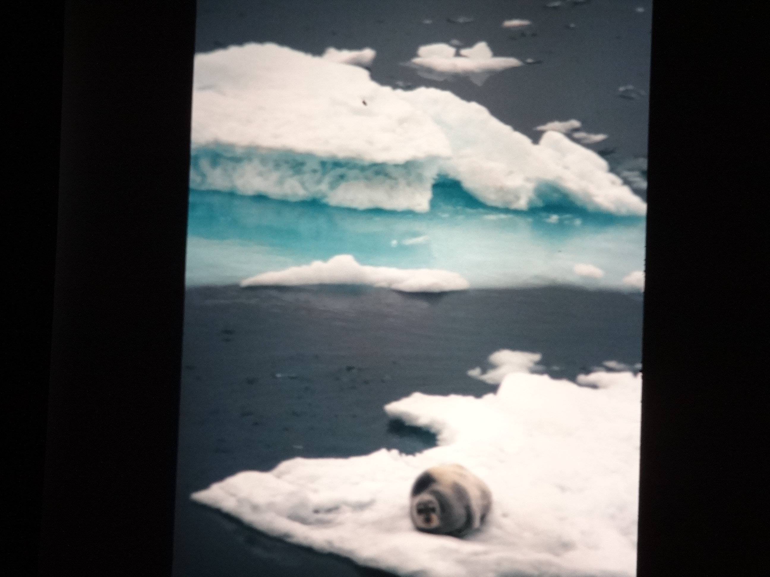 1995b_nordlansreise360___von_Ordner___1995_brixe_nordland