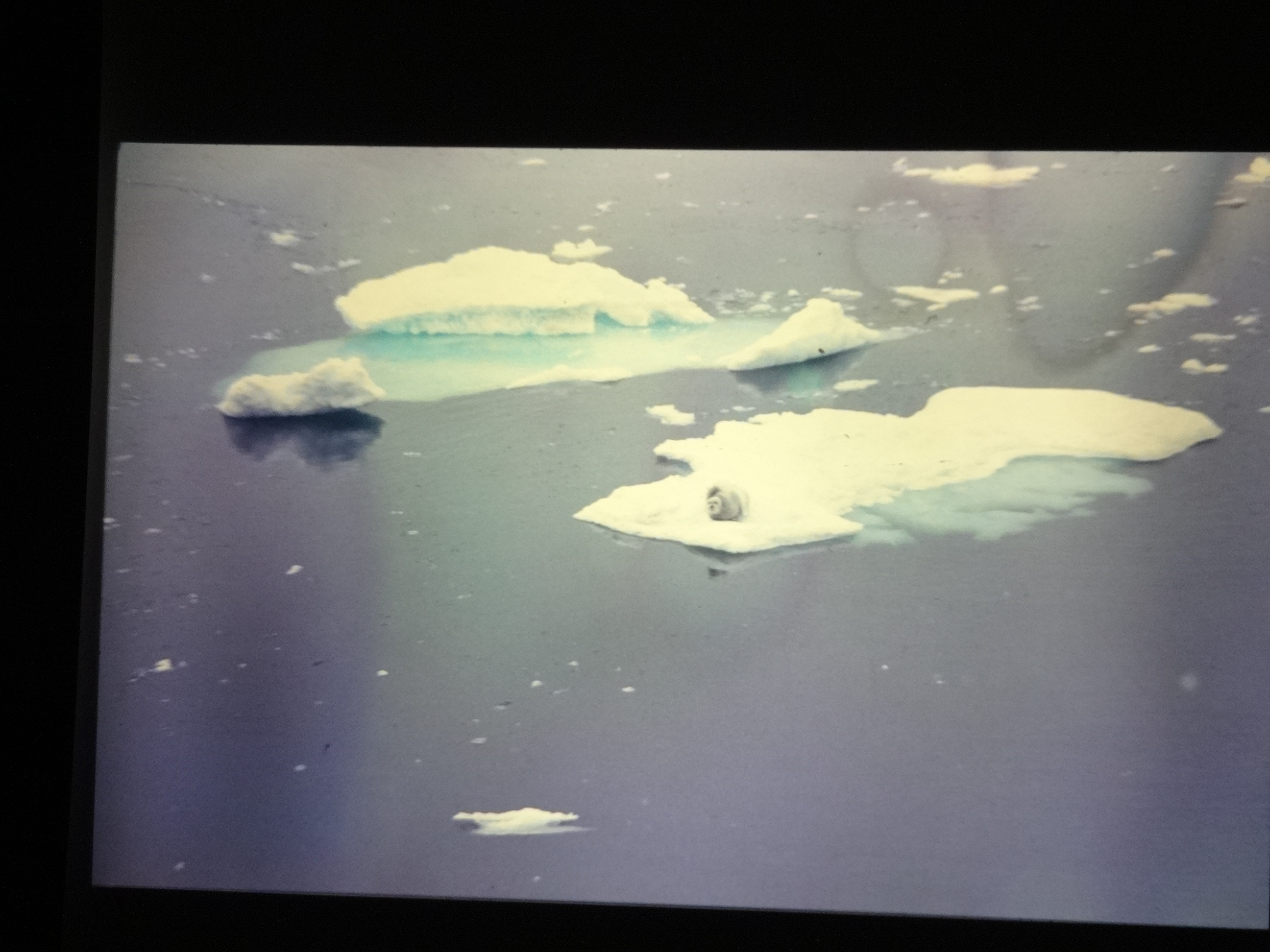 1995b_nordlansreise370___von_Ordner___1995_brixe_nordland