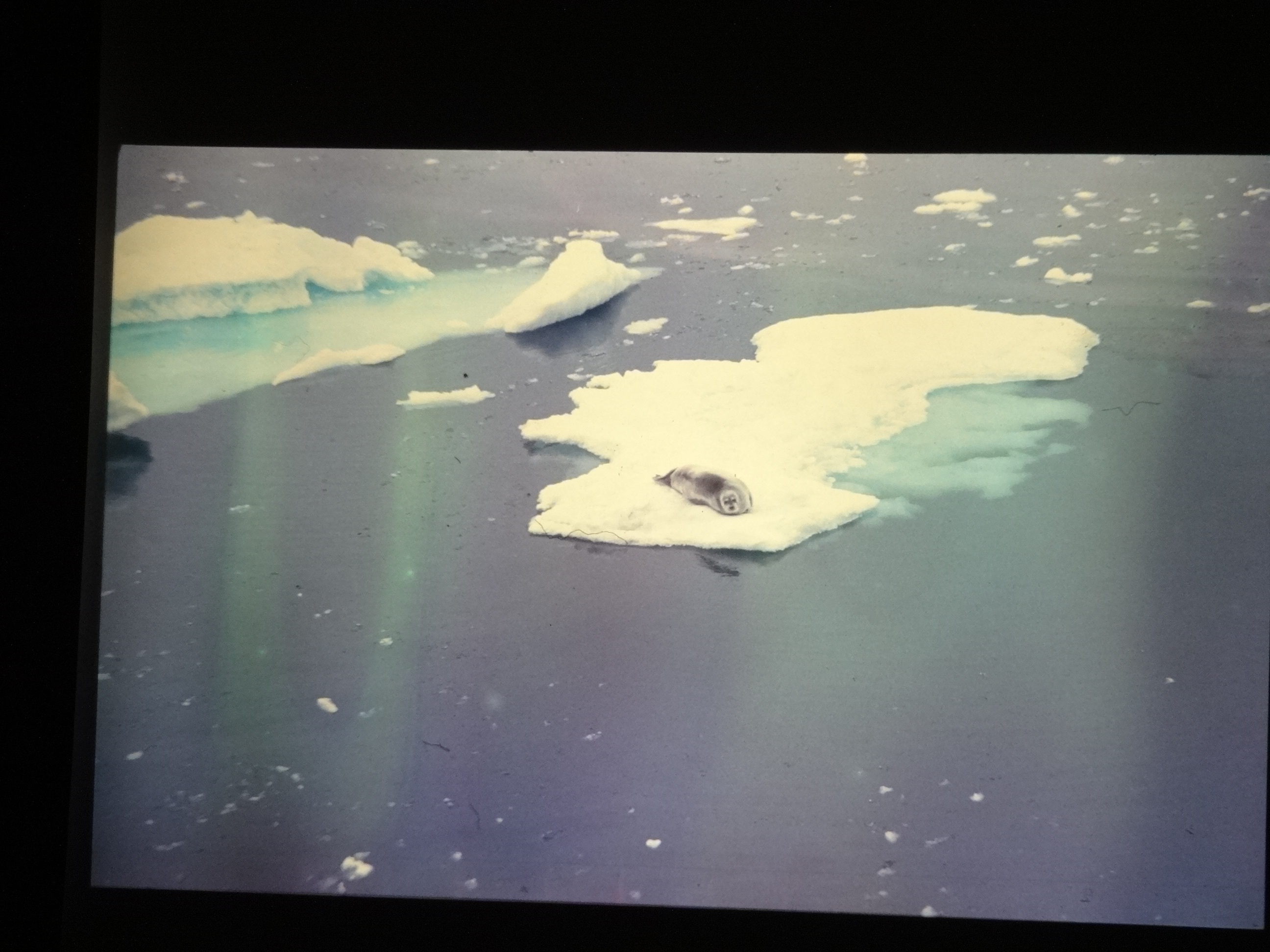 1995b_nordlansreise380___von_Ordner___1995_brixe_nordland