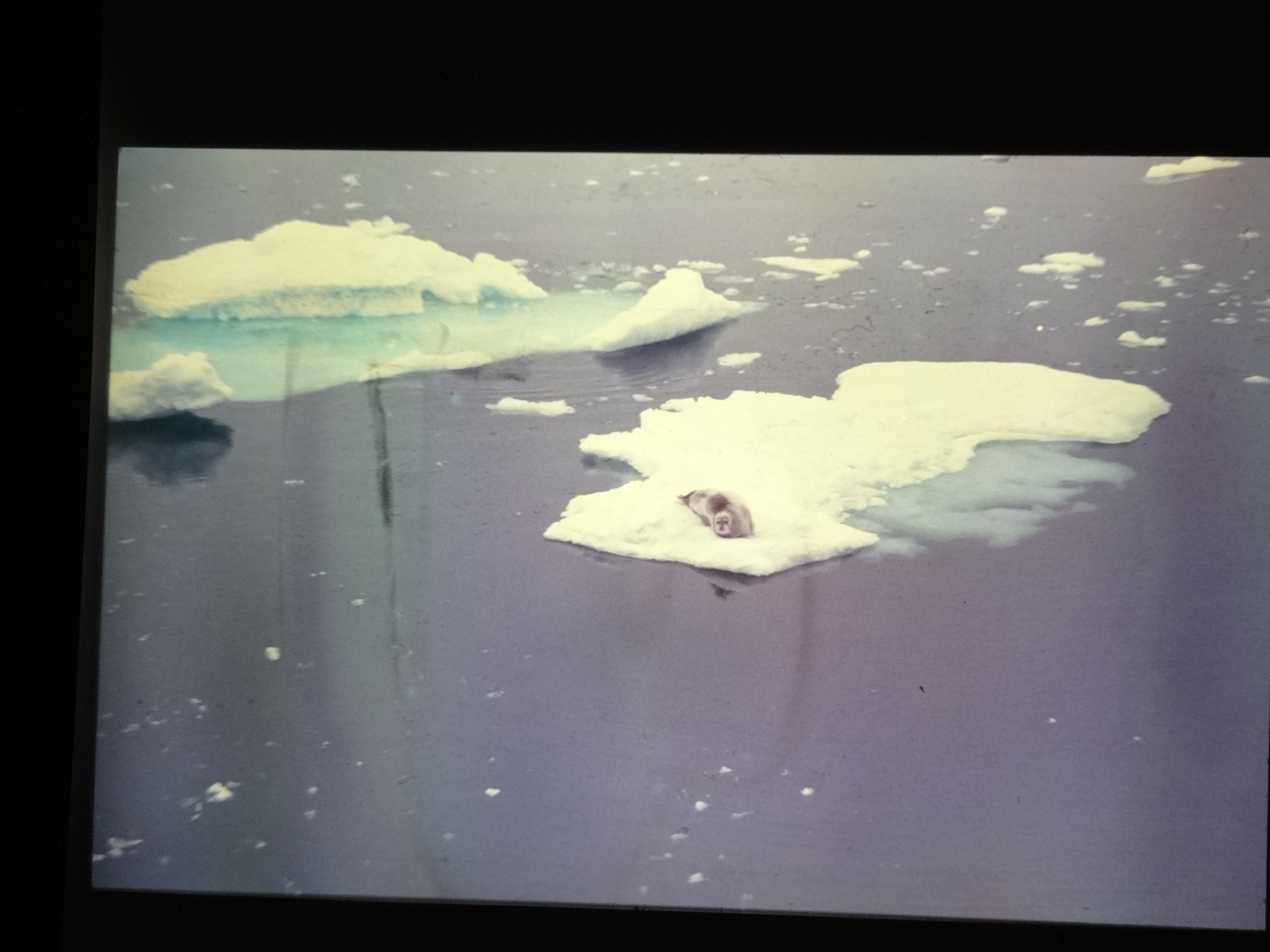 1995b_nordlansreise390___von_Ordner___1995_brixe_nordland