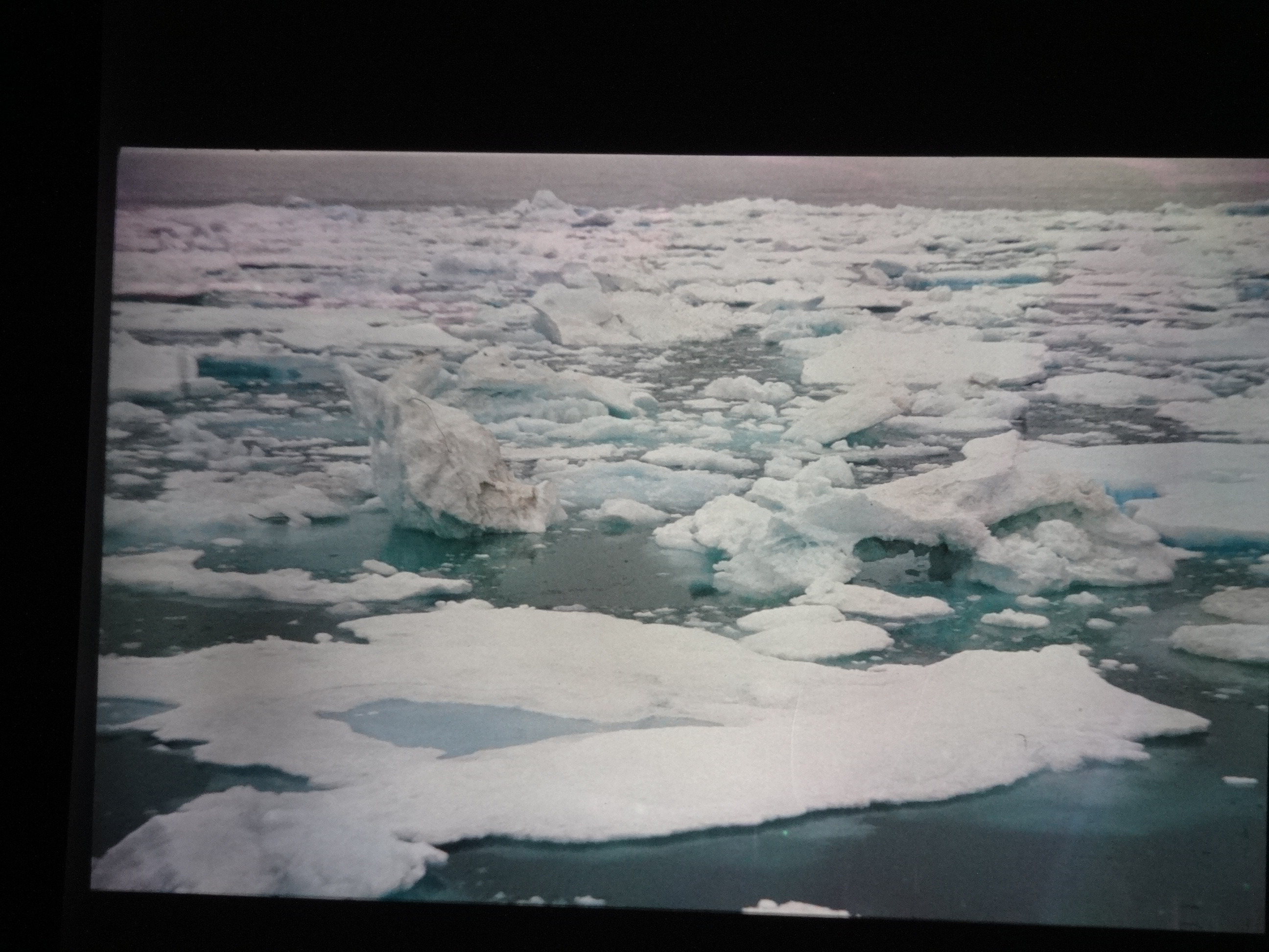 1995b_nordlansreise400___von_Ordner___1995_brixe_nordland