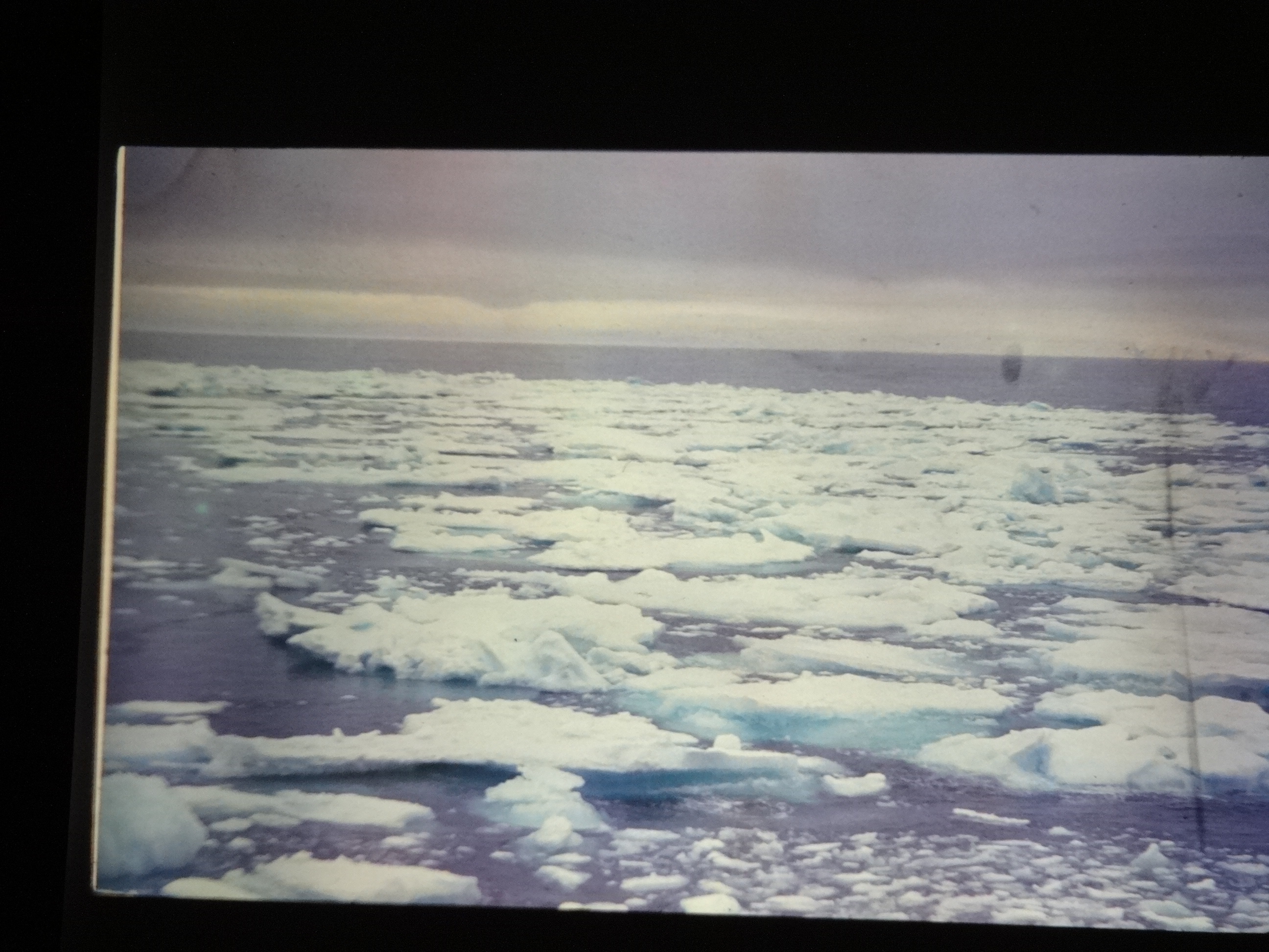 1995b_nordlansreise410___von_Ordner___1995_brixe_nordland