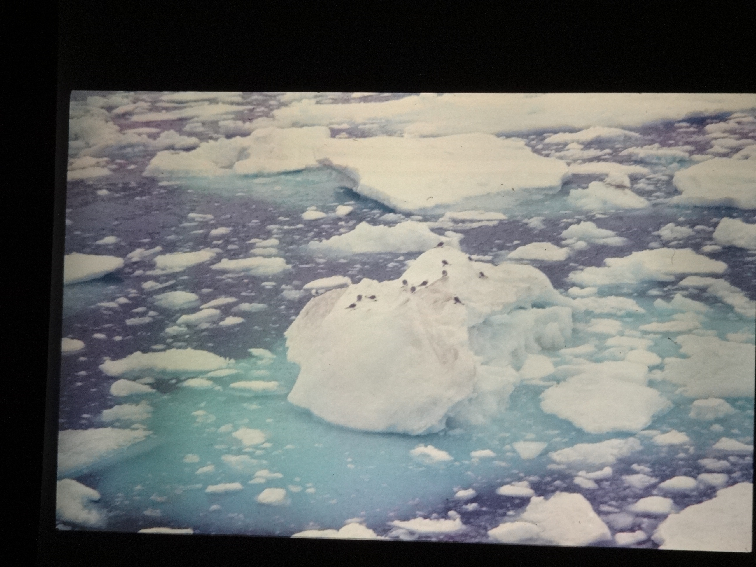 1995b_nordlansreise420___von_Ordner___1995_brixe_nordland