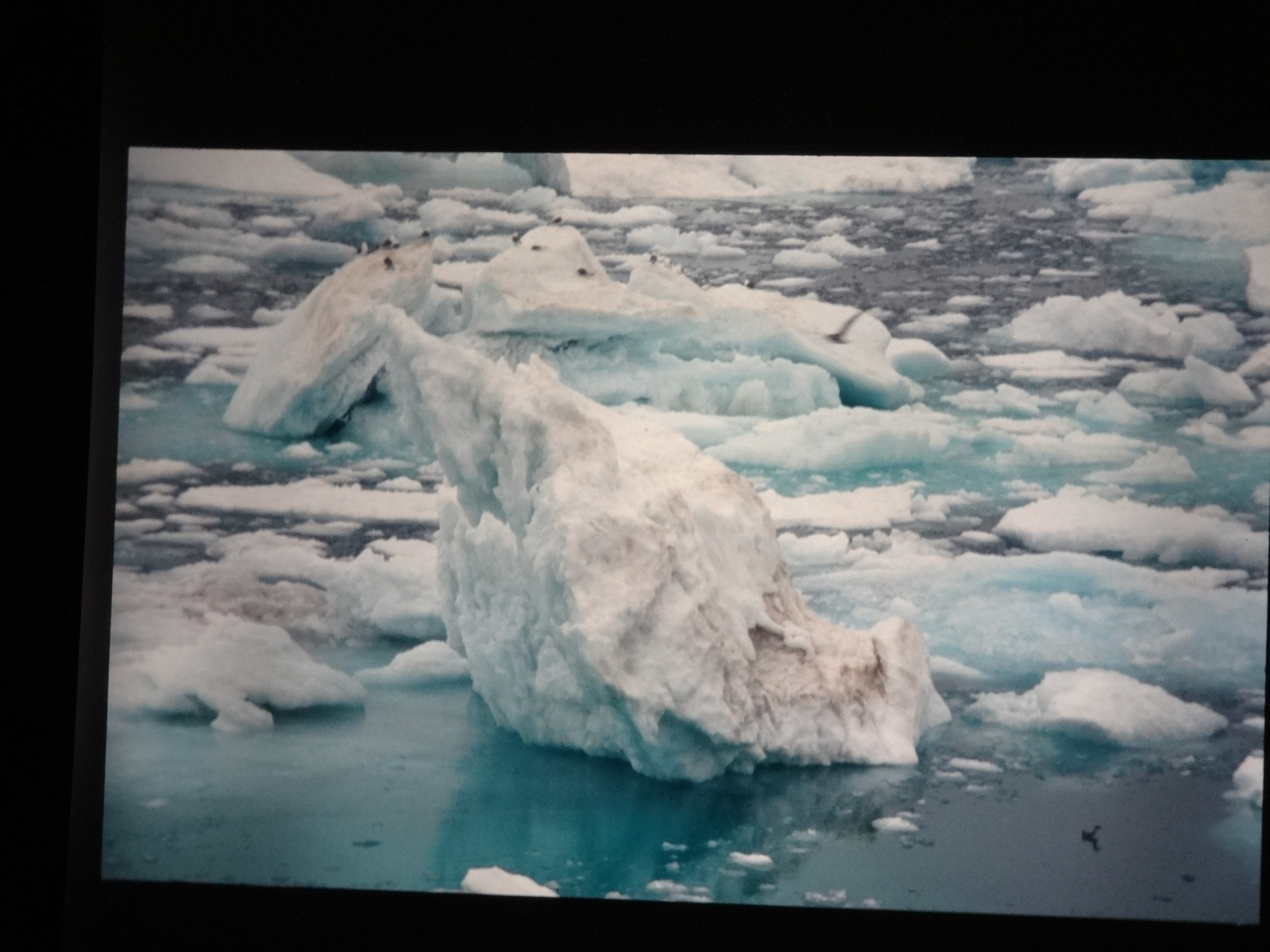 1995b_nordlansreise430___von_Ordner___1995_brixe_nordland