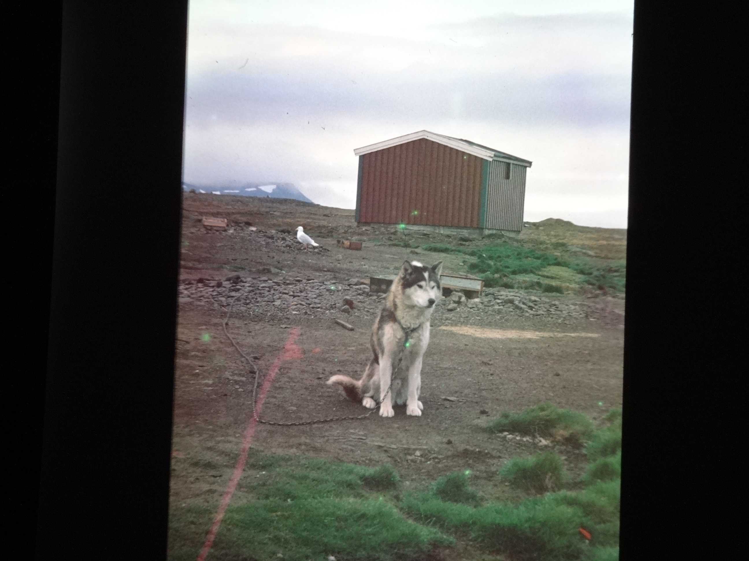 1995b_nordlansreise470___von_Ordner___1995_brixe_nordland