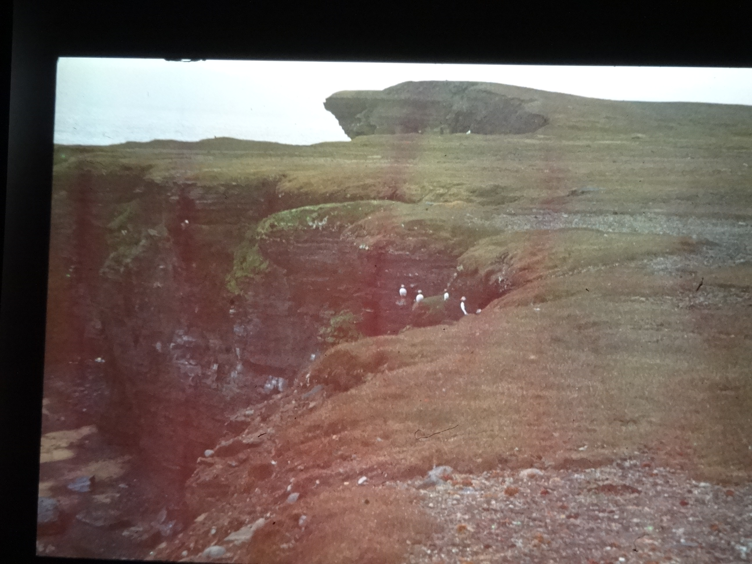 1995b_nordlansreise480___von_Ordner___1995_brixe_nordland