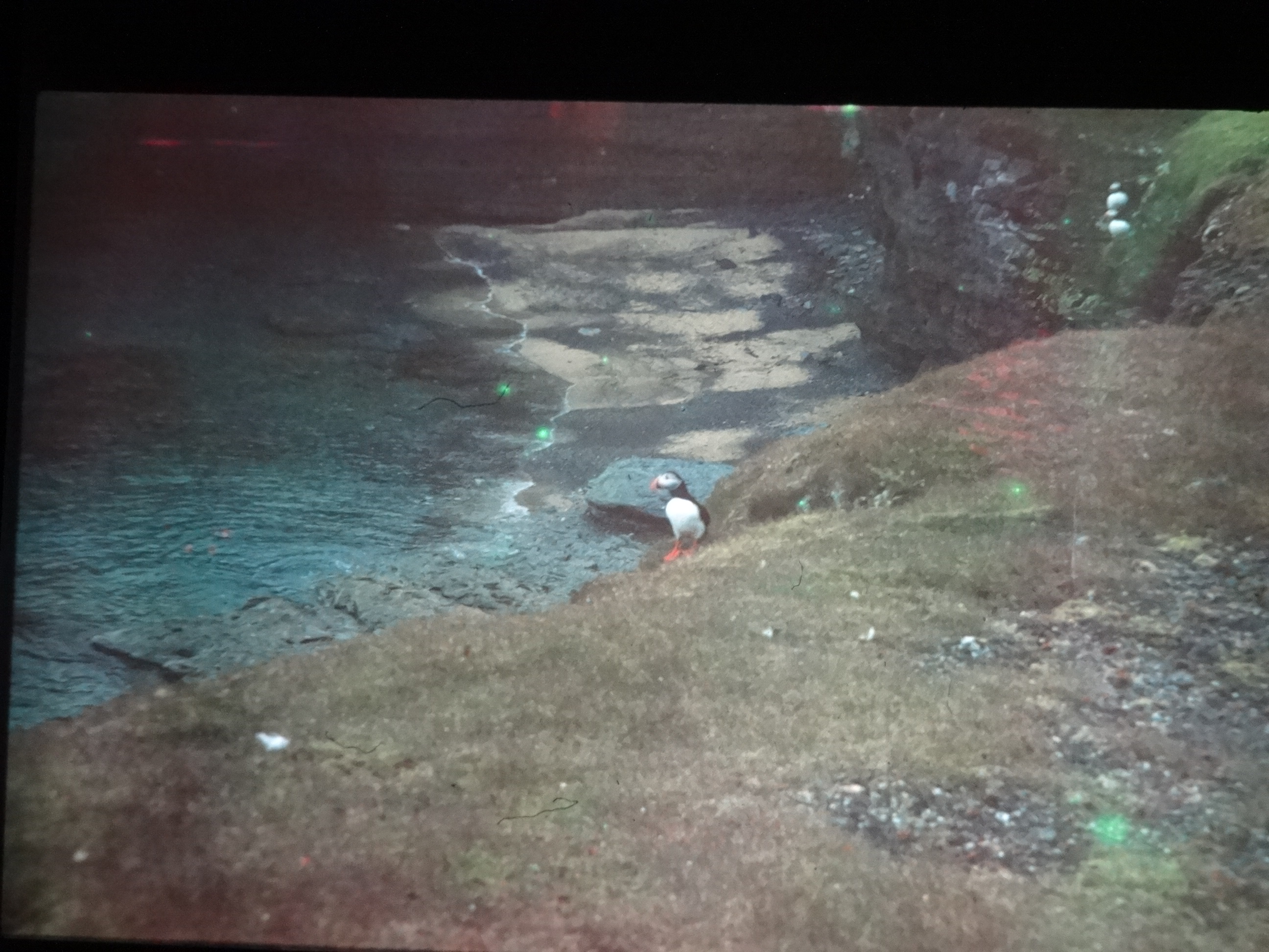 1995b_nordlansreise500___von_Ordner___1995_brixe_nordland