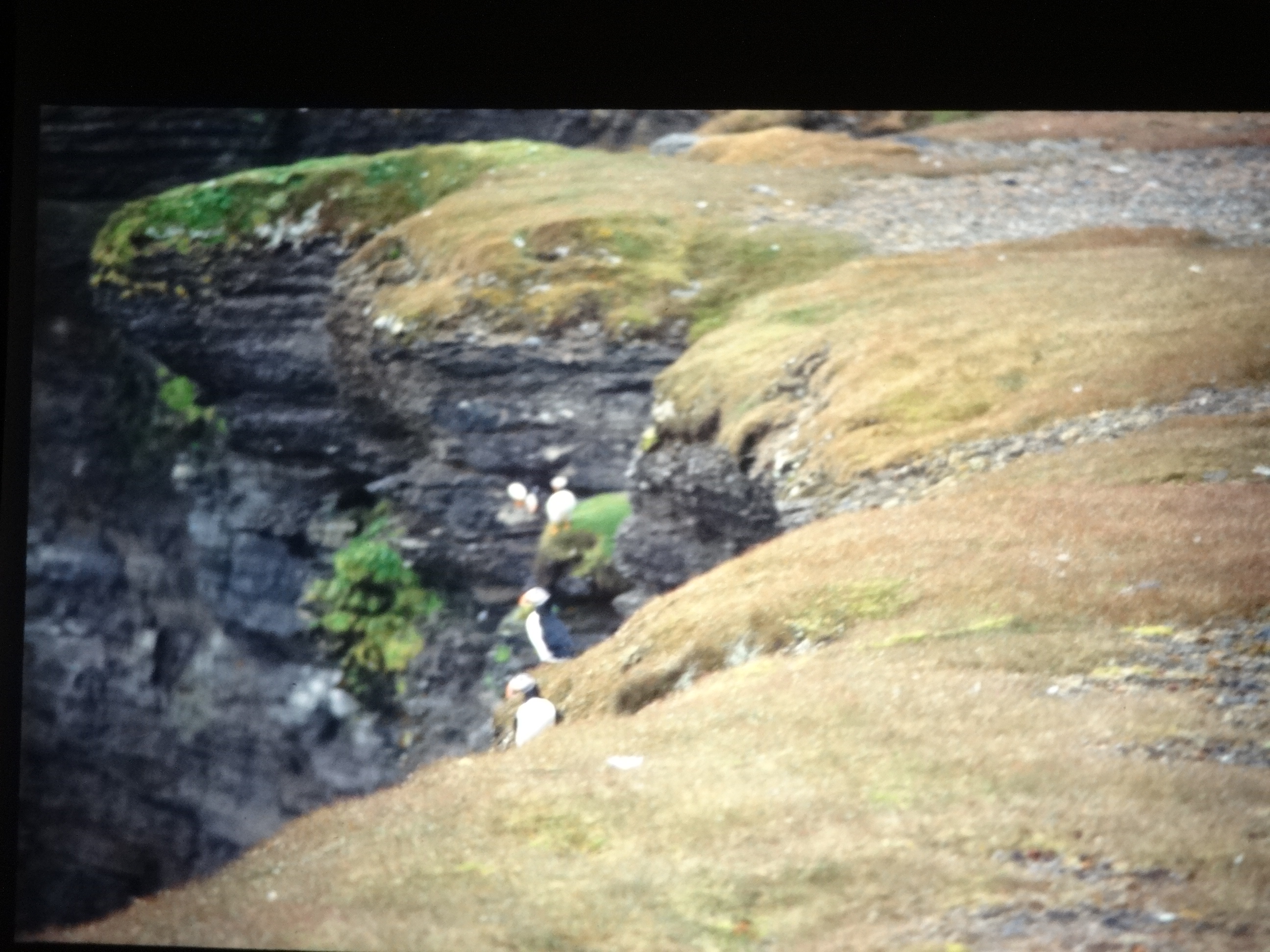 1995b_nordlansreise510___von_Ordner___1995_brixe_nordland