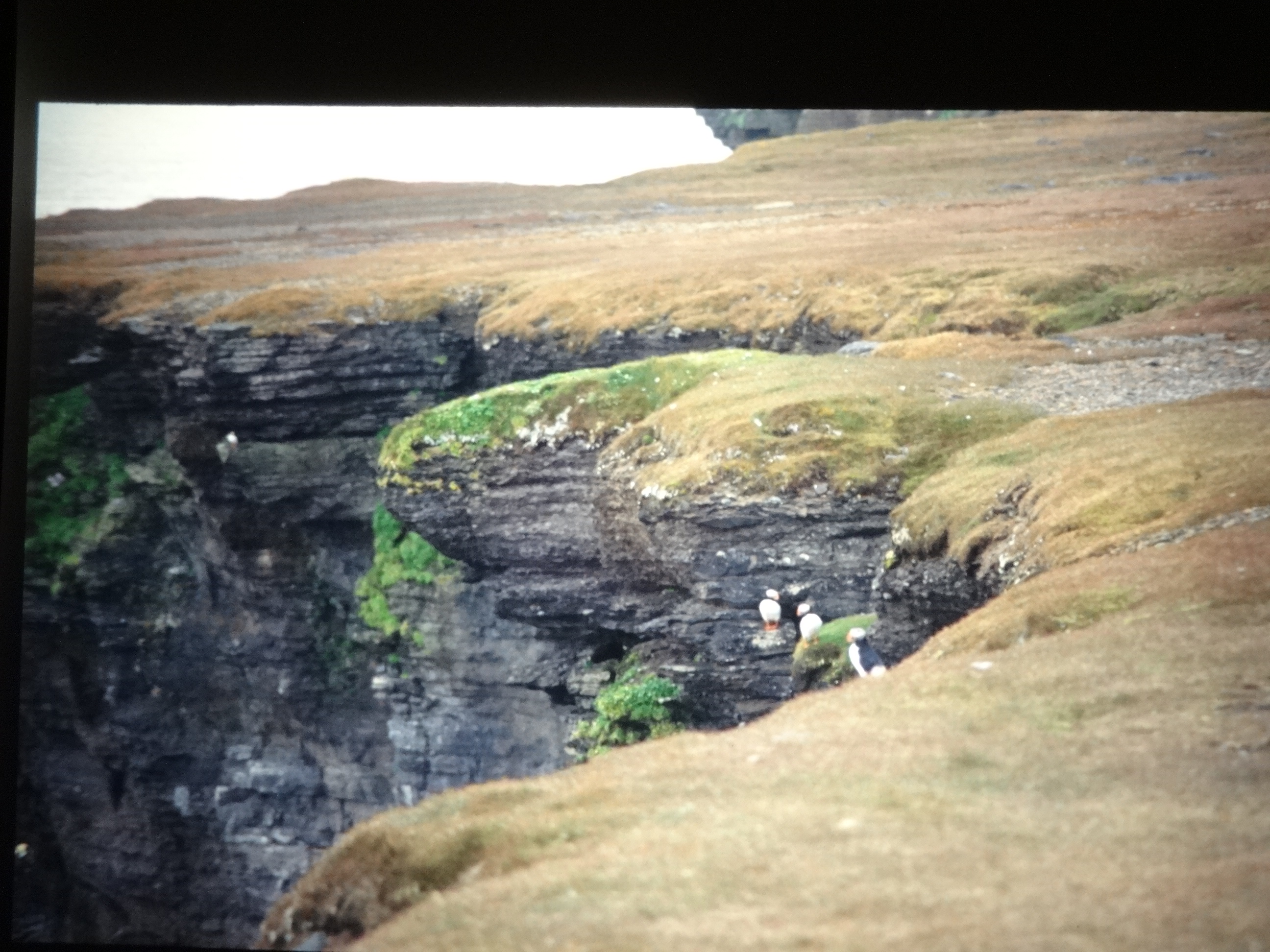 1995b_nordlansreise520___von_Ordner___1995_brixe_nordland