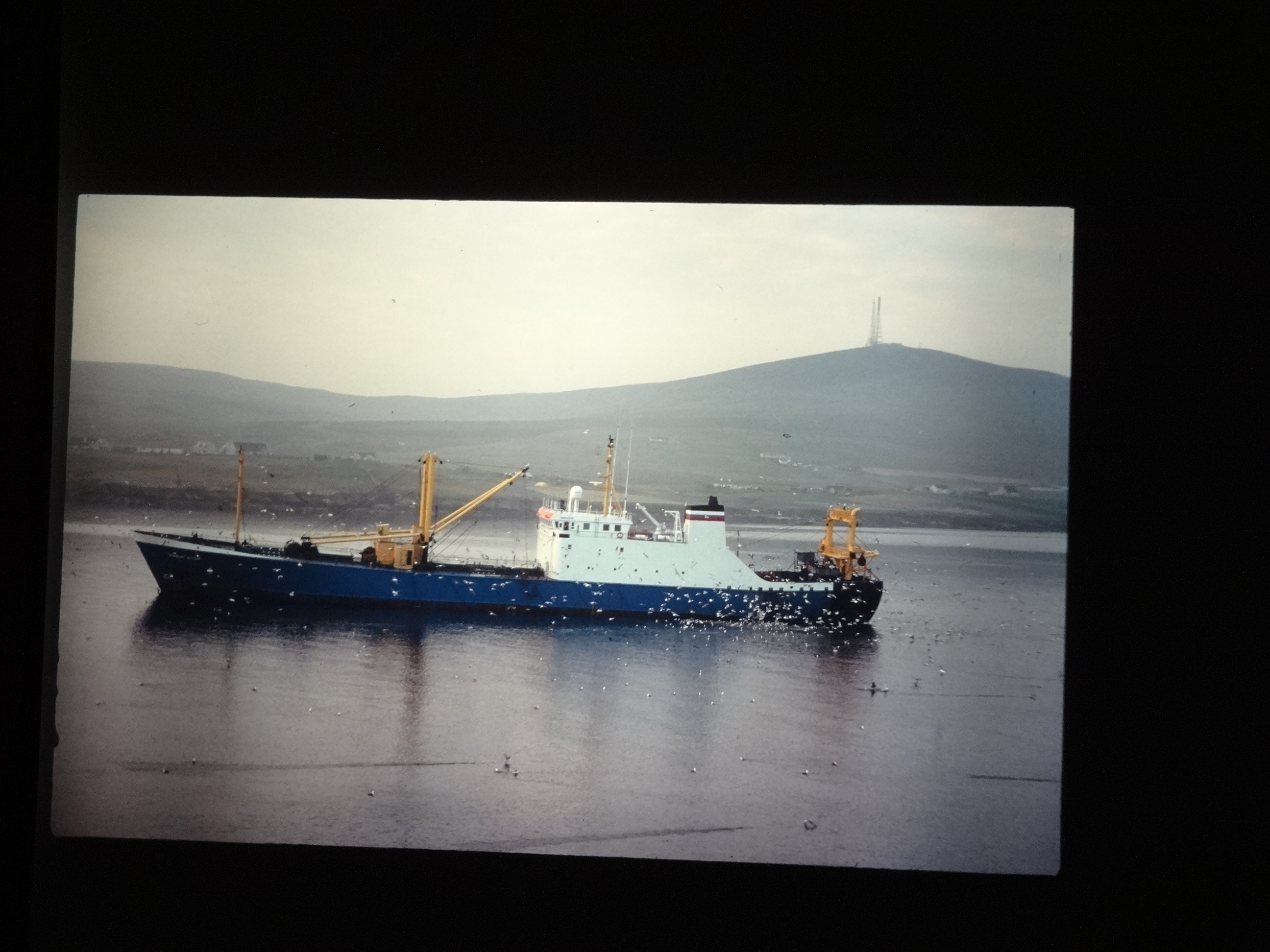 1995brixe_nordlandreise080