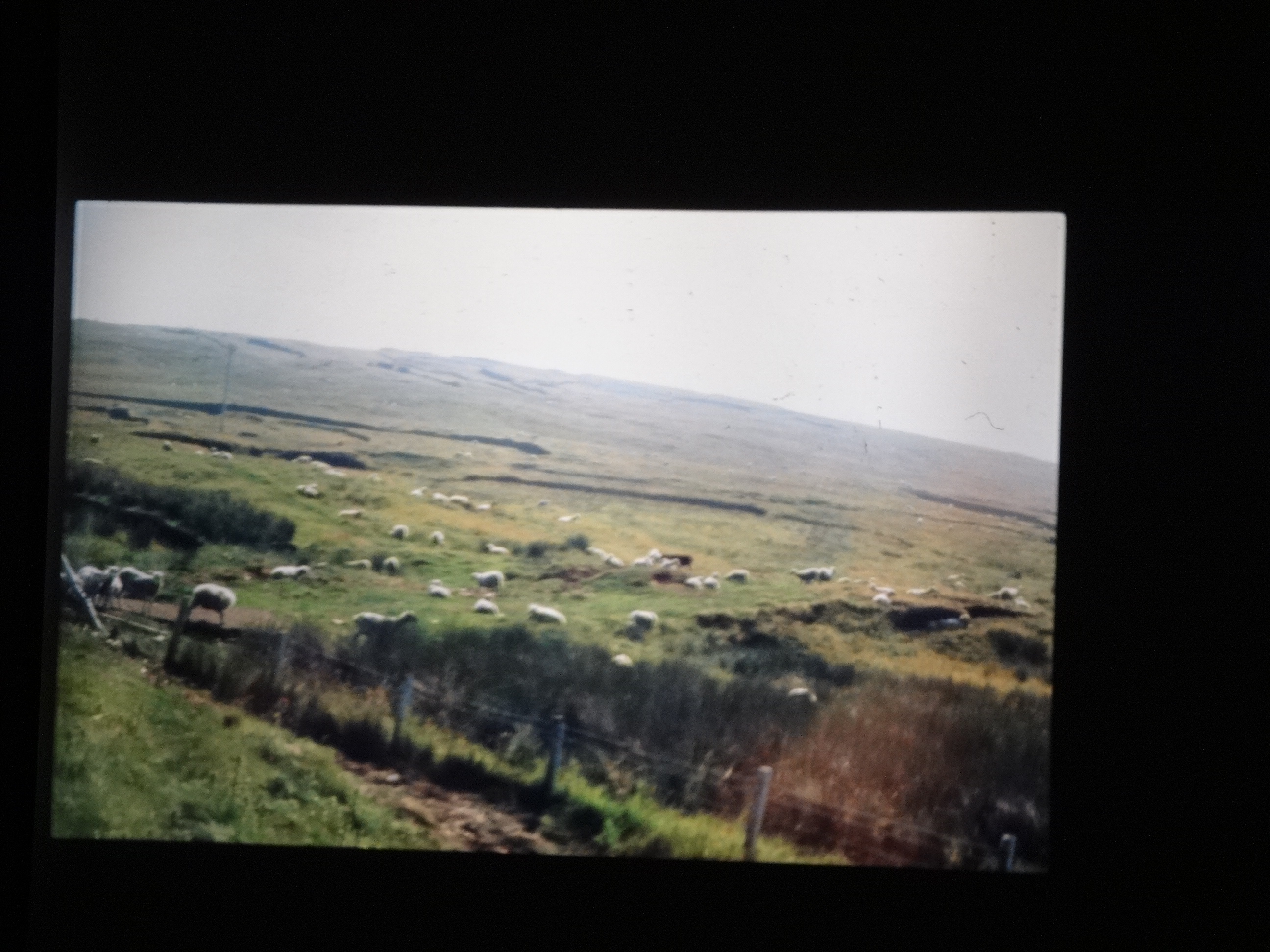 1995brixe_nordlandreise110