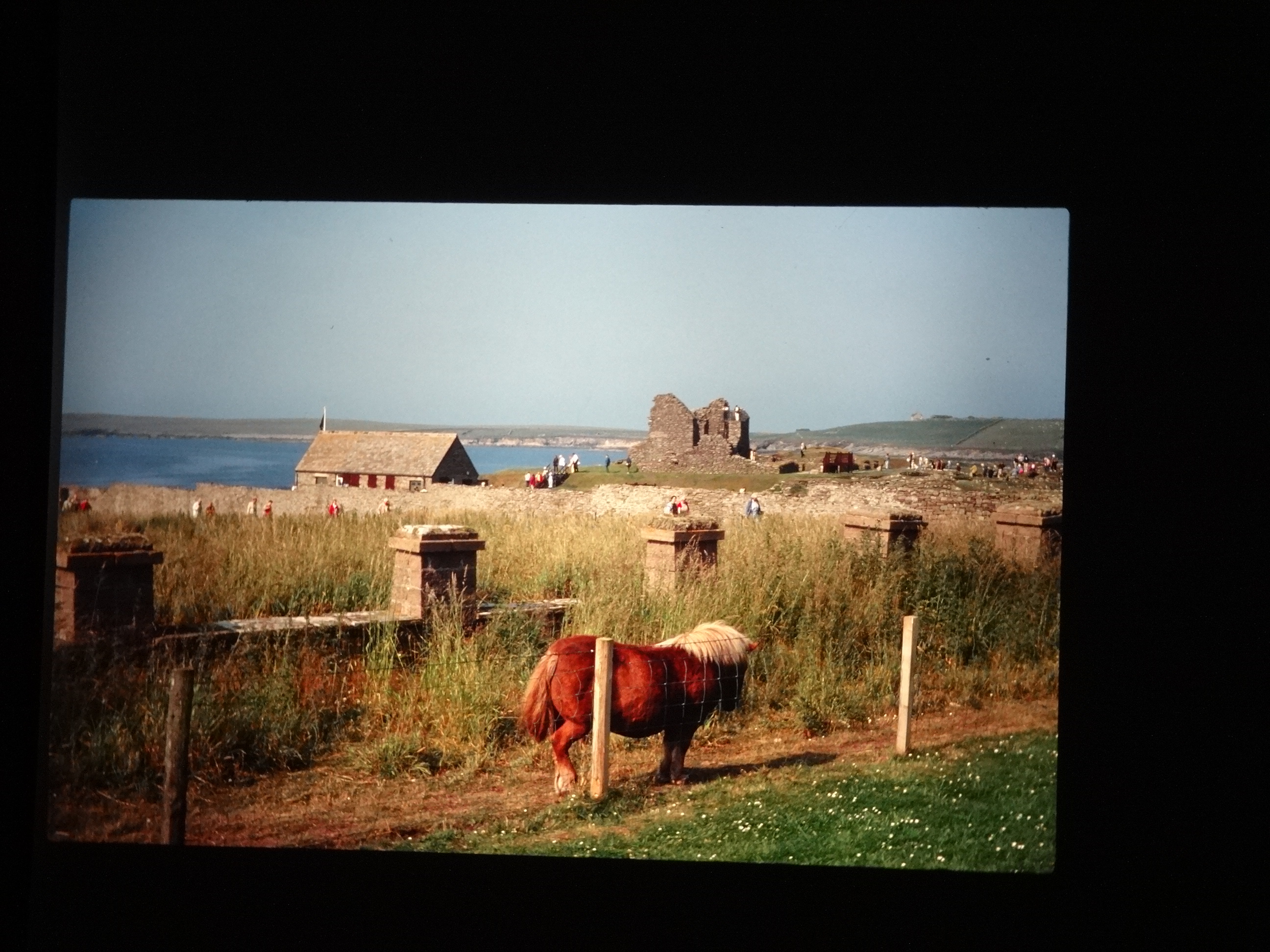 1995brixe_nordlandreise140