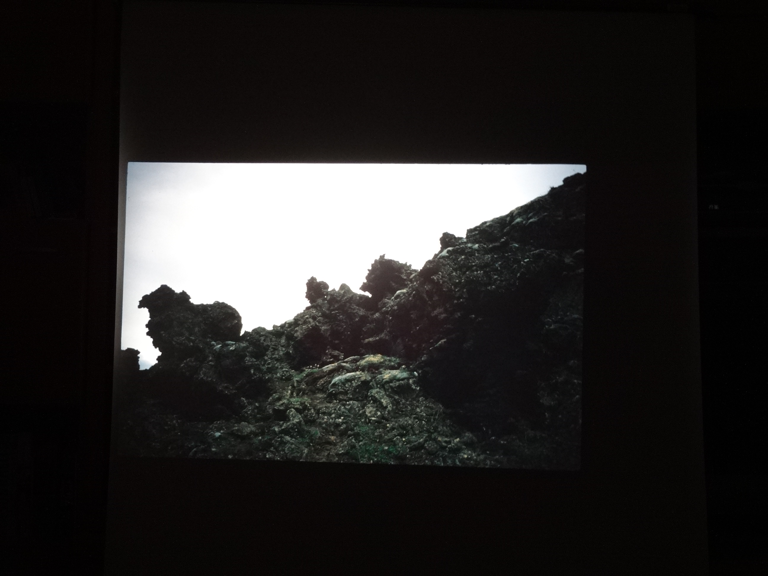 1995brixe_nordlandreise570