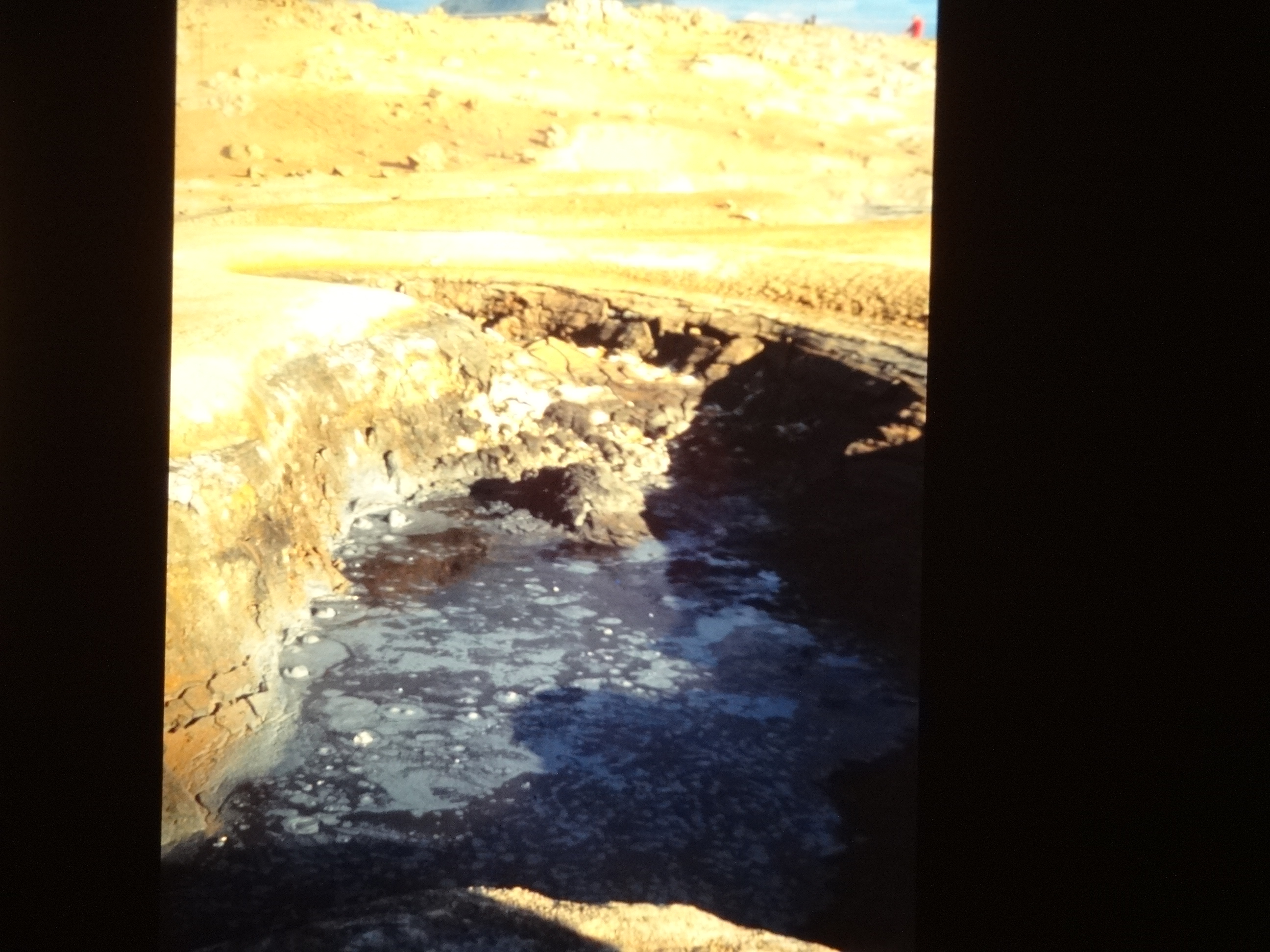 1995brixe_nordlandreise670