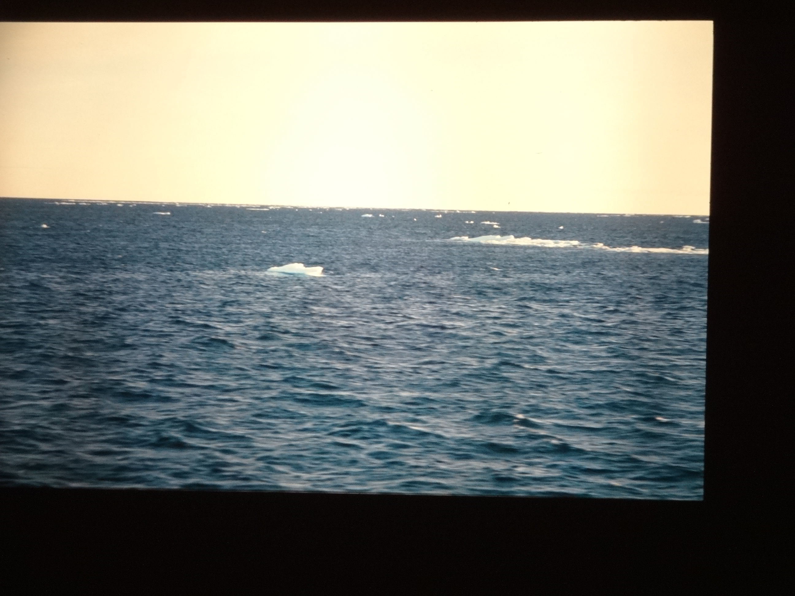 1995brixe_nordlandreise870