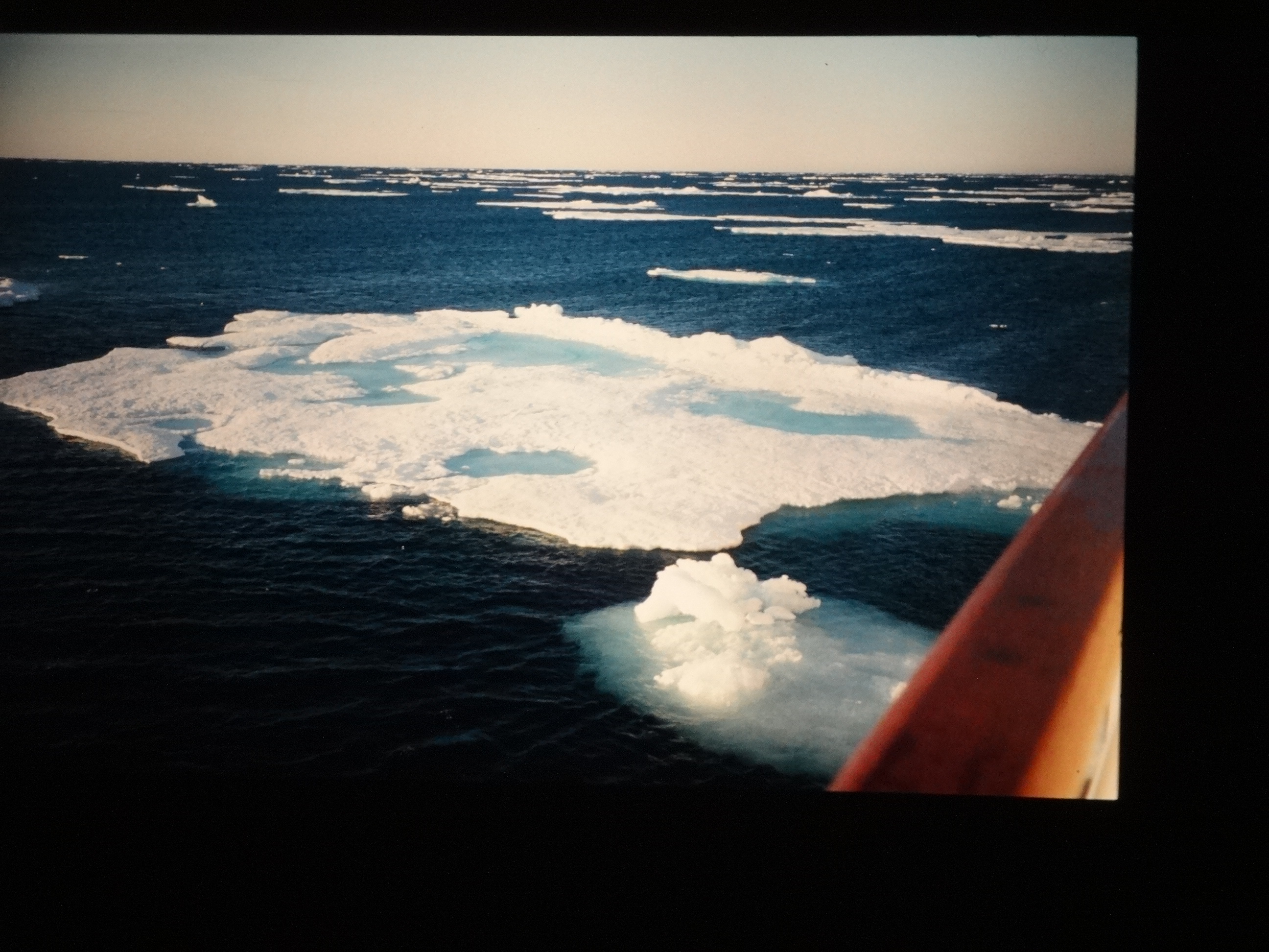 1995brixe_nordlandreise940