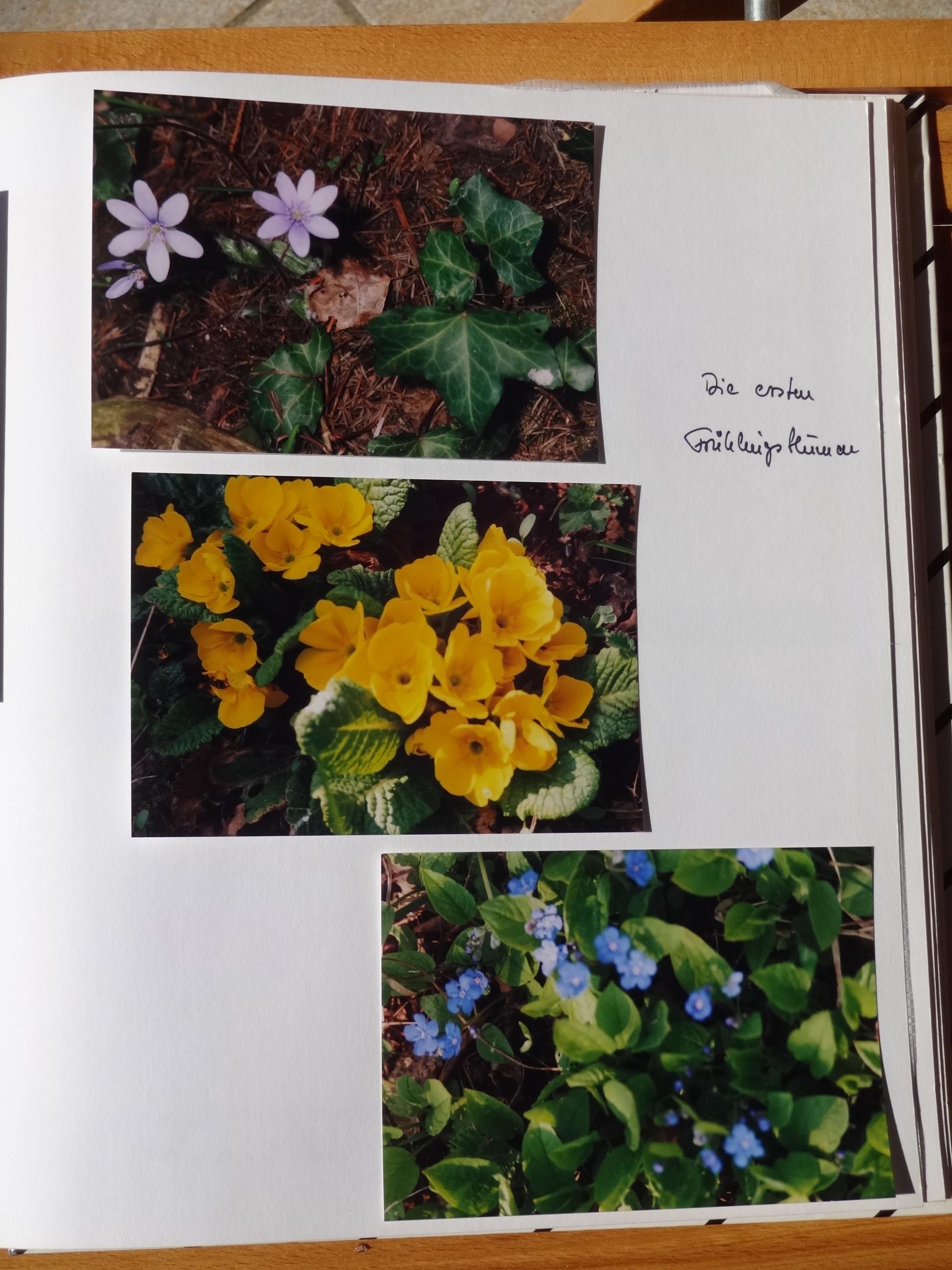 1996_100___von_Ordner___1993_1997