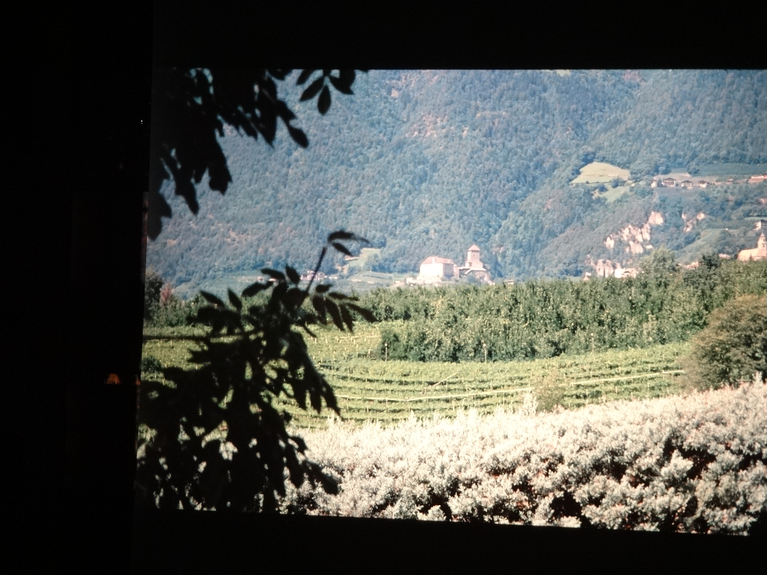 1996_suedtirol_verins020___von_Ordner___1996_dias_suedtirol