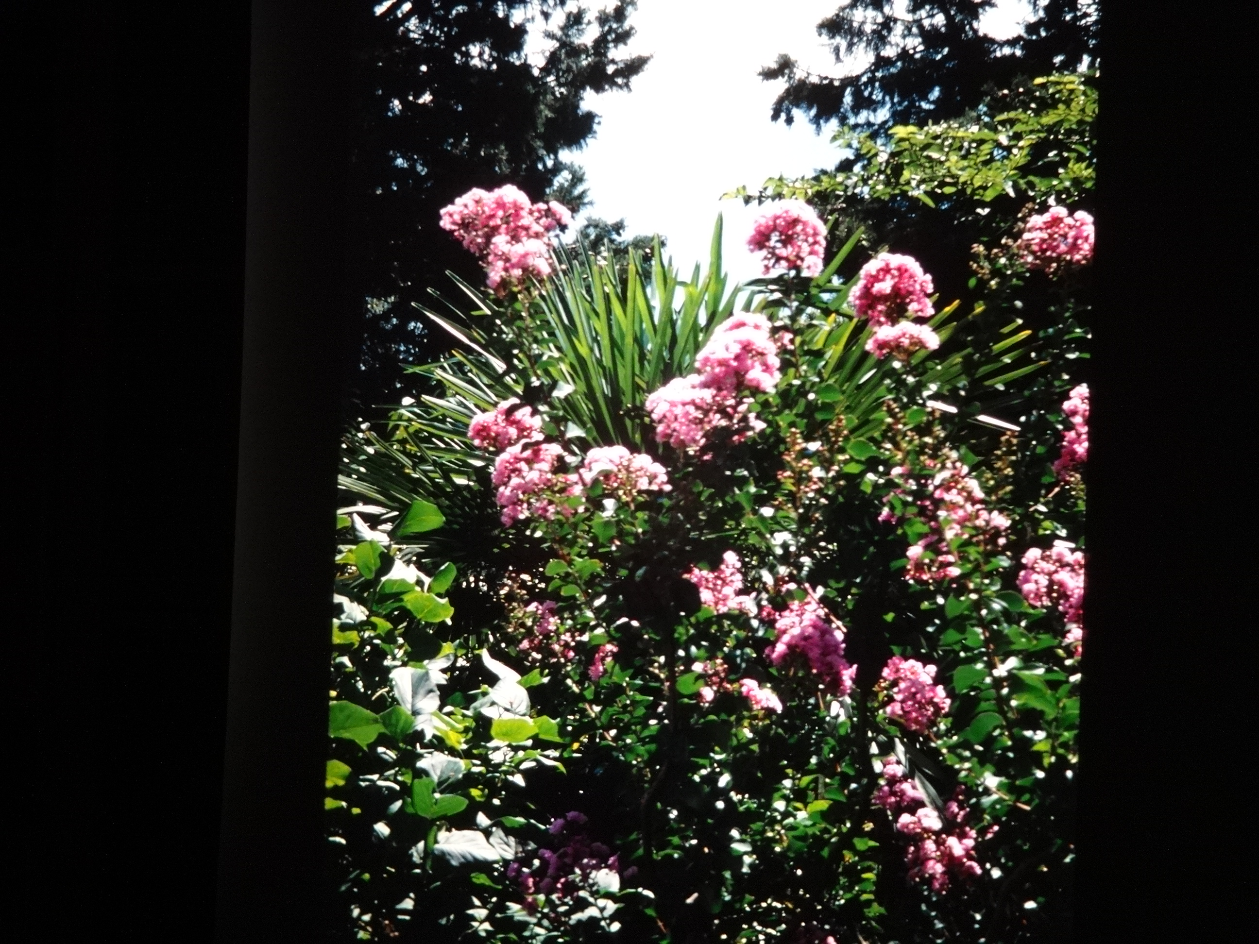 1996_suedtirol_verins040___von_Ordner___1996_dias_suedtirol