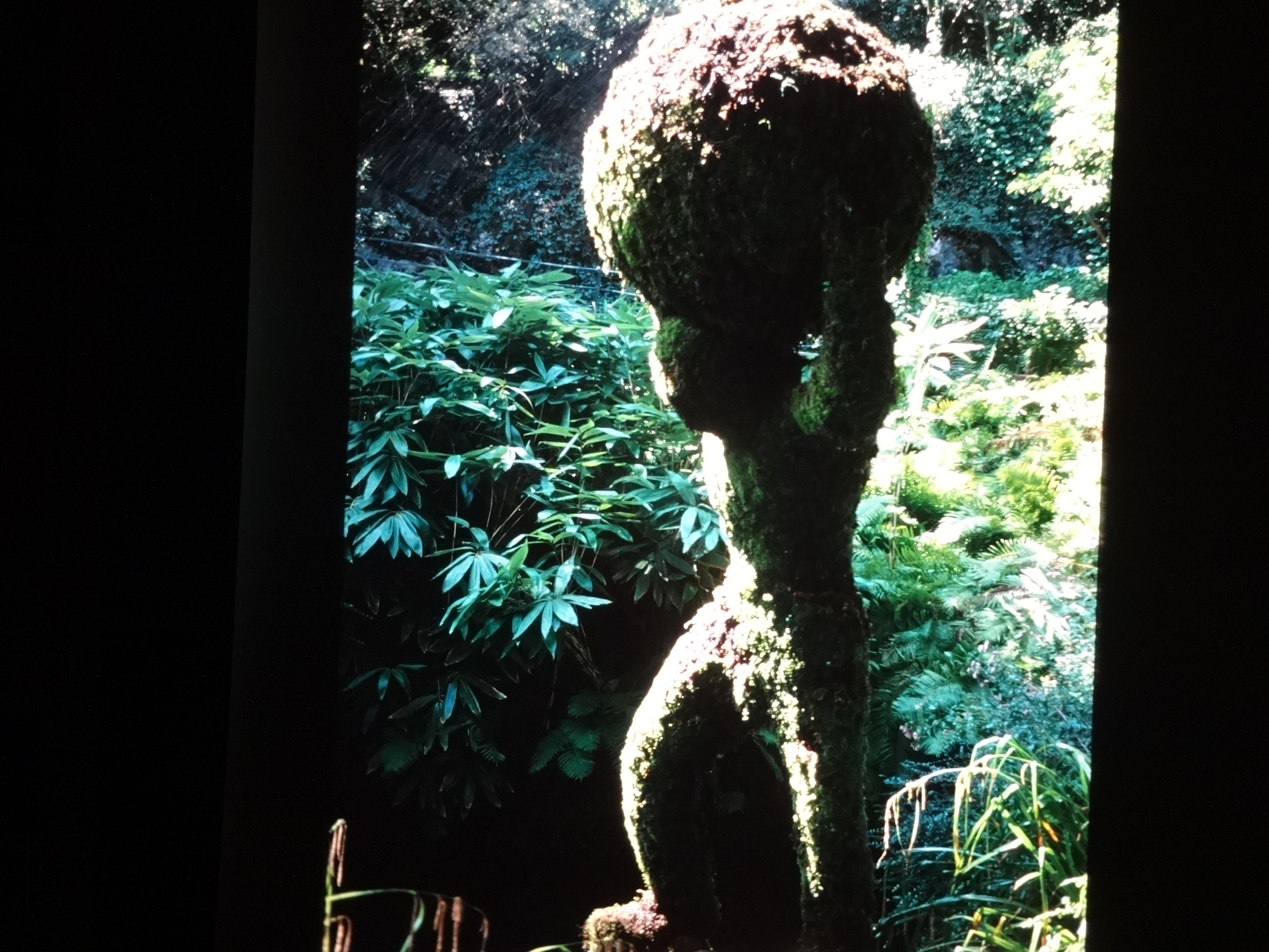 1996_suedtirol_verins060___von_Ordner___1996_dias_suedtirol