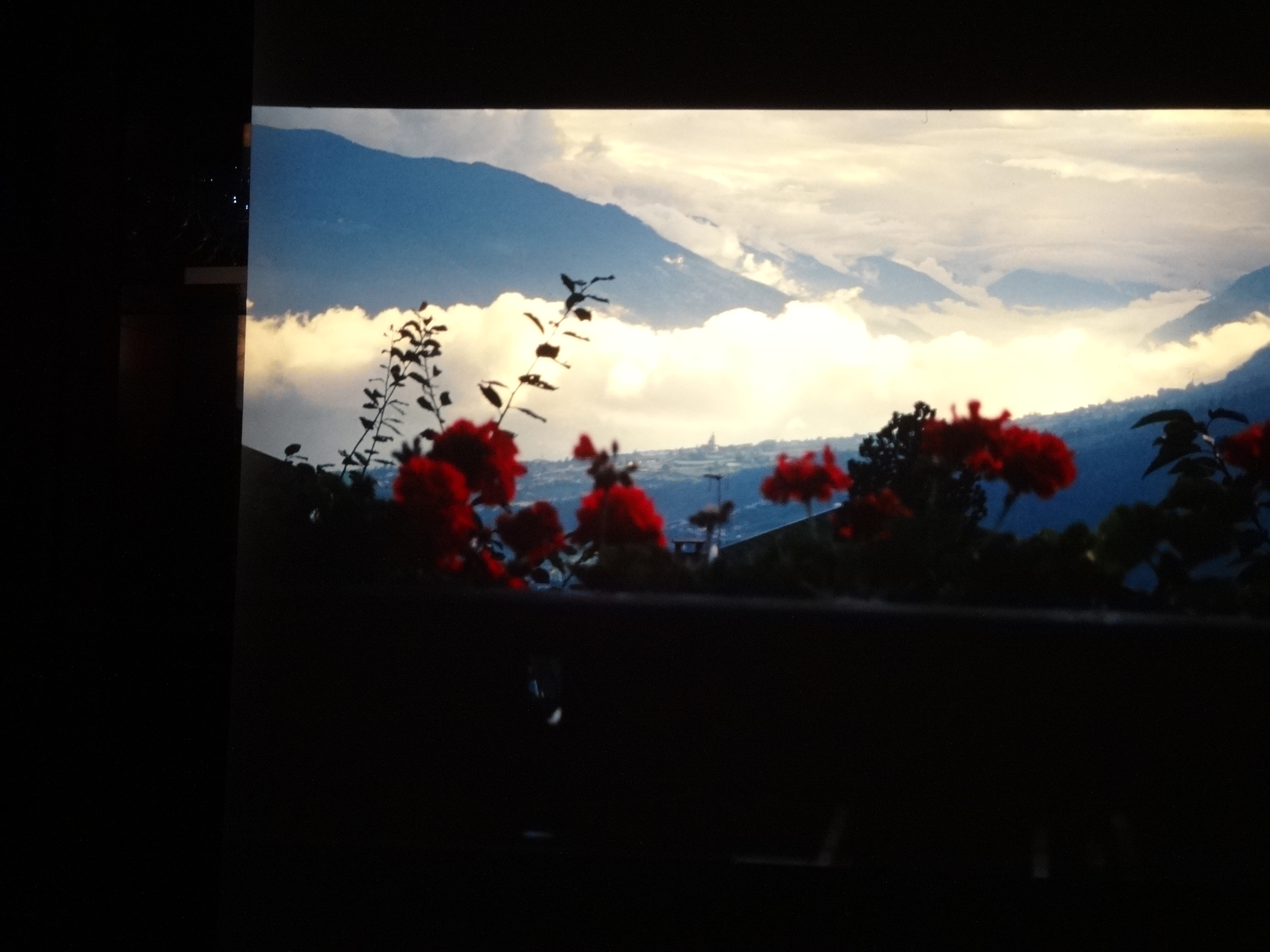 1996_suedtirol_verins140___von_Ordner___1996_dias_suedtirol