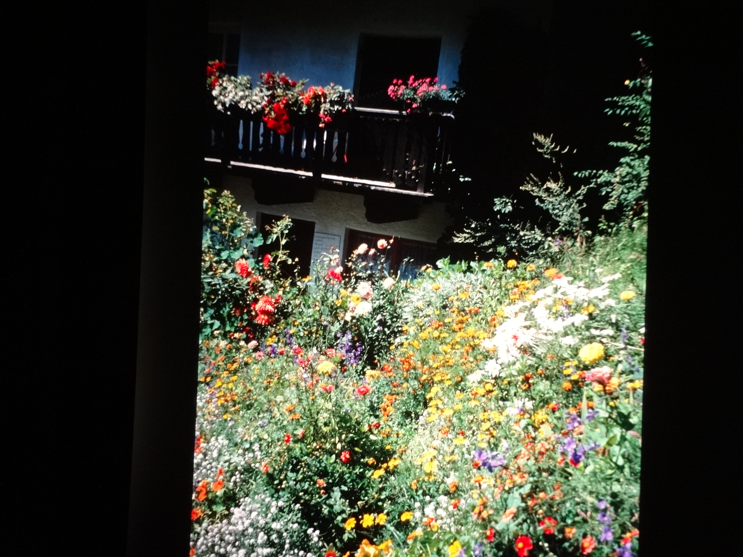 1996_suedtirol_verins260___von_Ordner___1996_dias_suedtirol