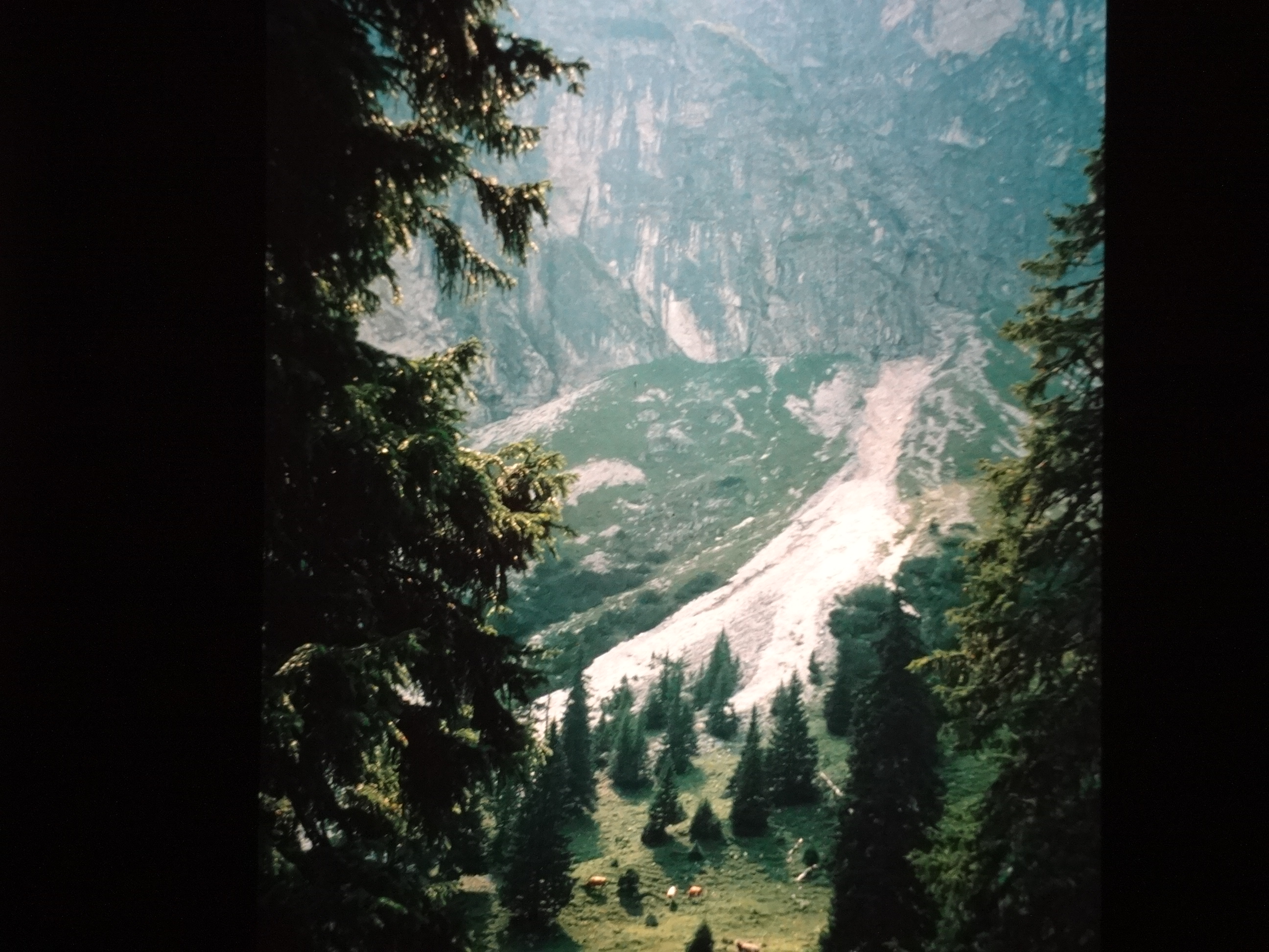 1997schoppernau020___von_Ordner___1997dias_schoppernau