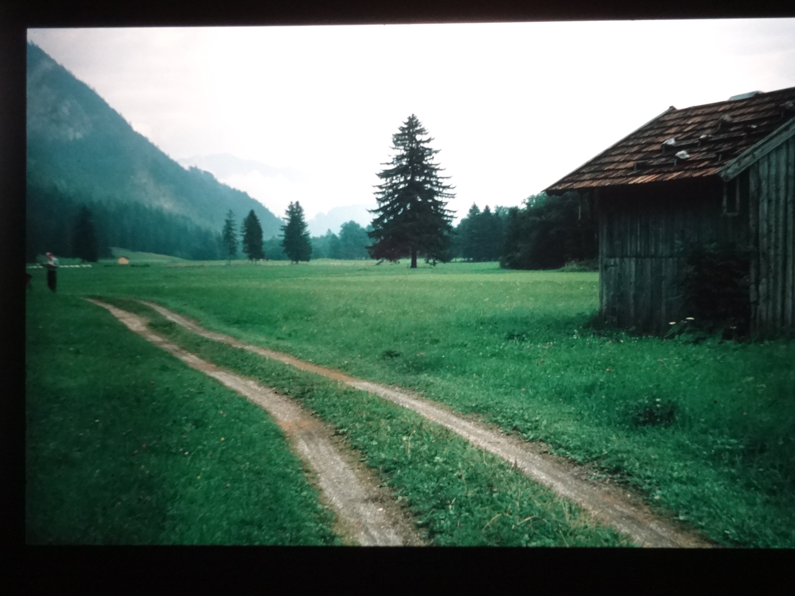 1997schoppernau110___von_Ordner___1997dias_schoppernau