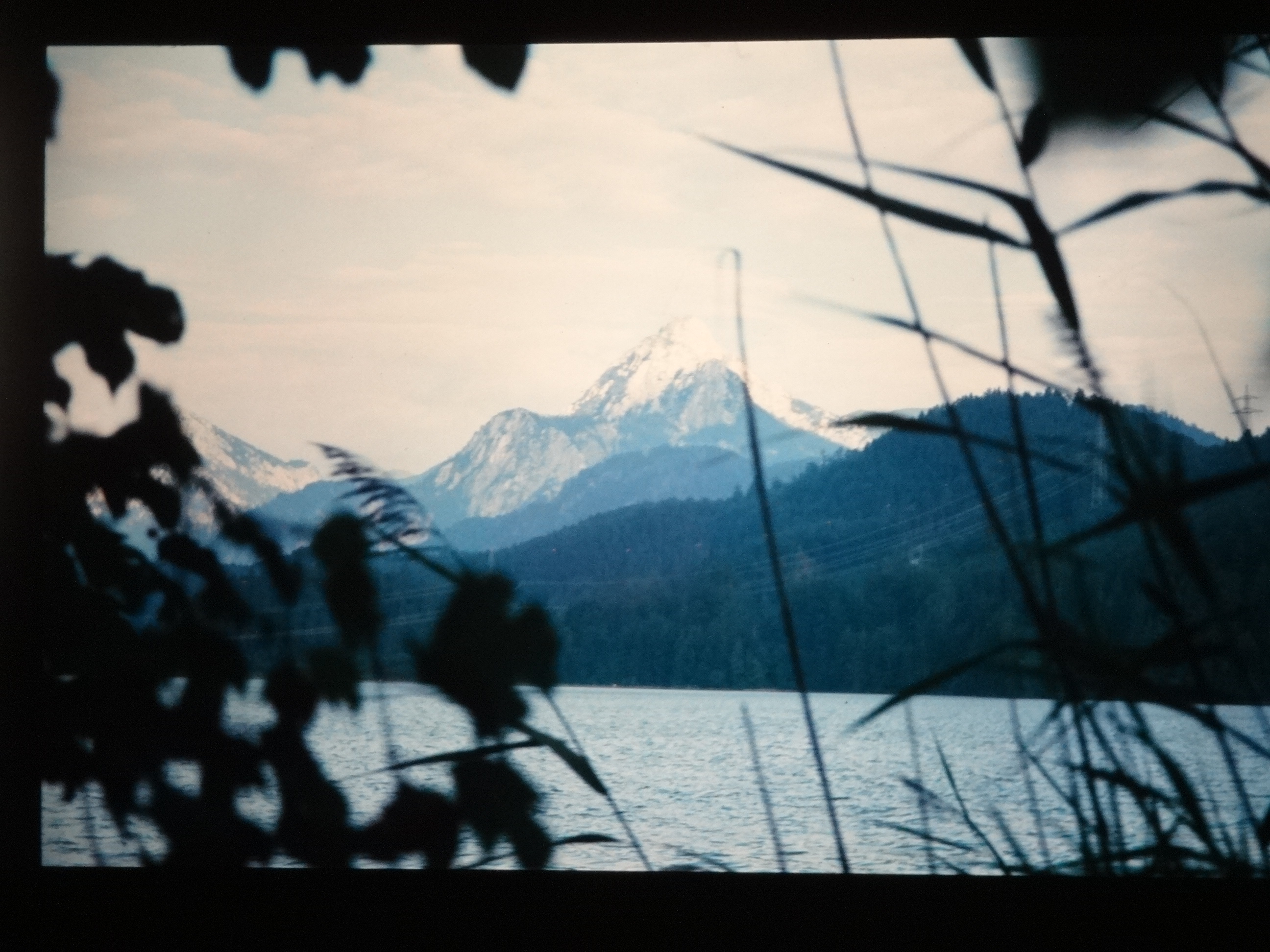 1997schoppernau150___von_Ordner___1997dias_schoppernau