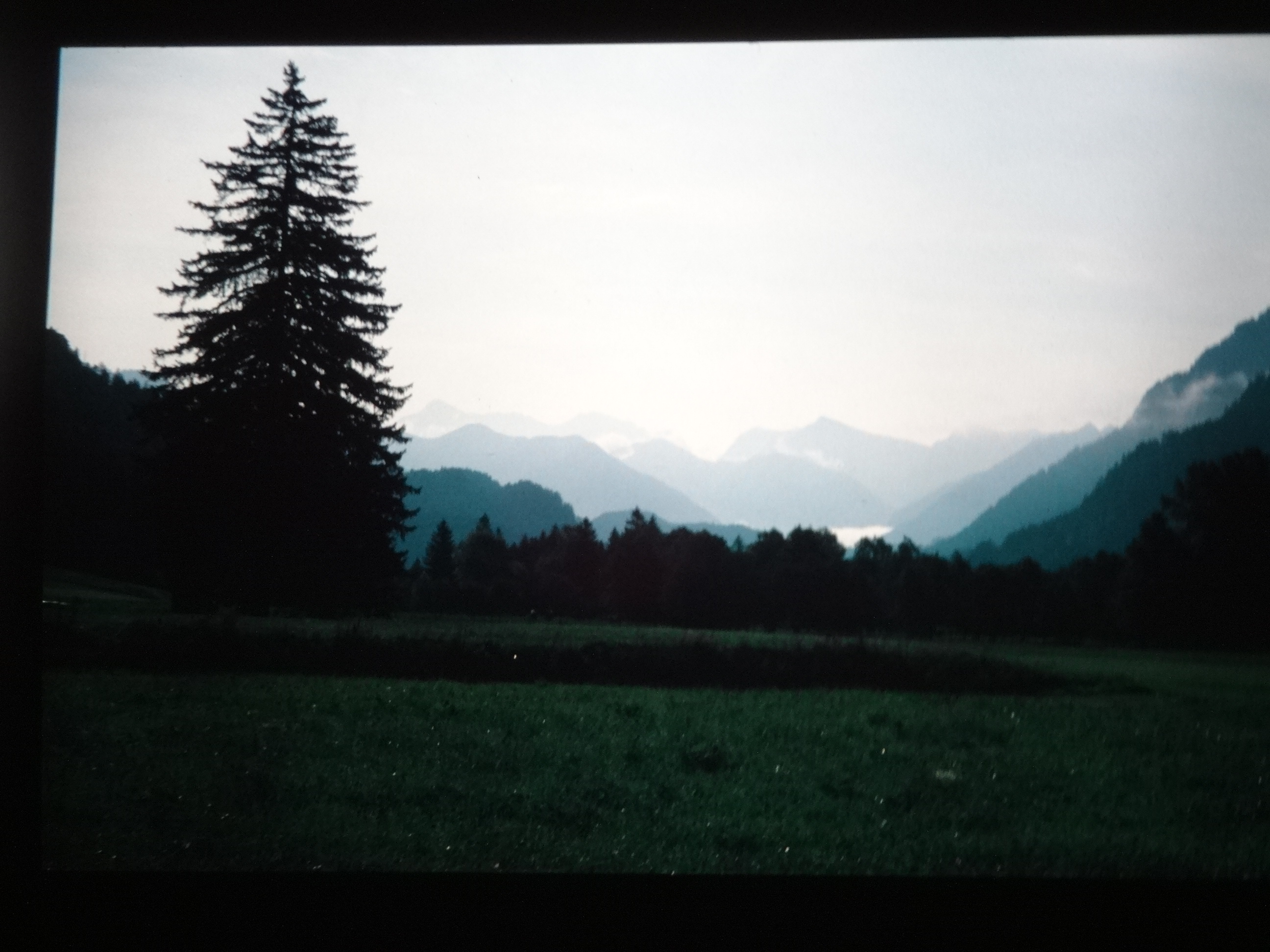 1997schoppernau180___von_Ordner___1997dias_schoppernau