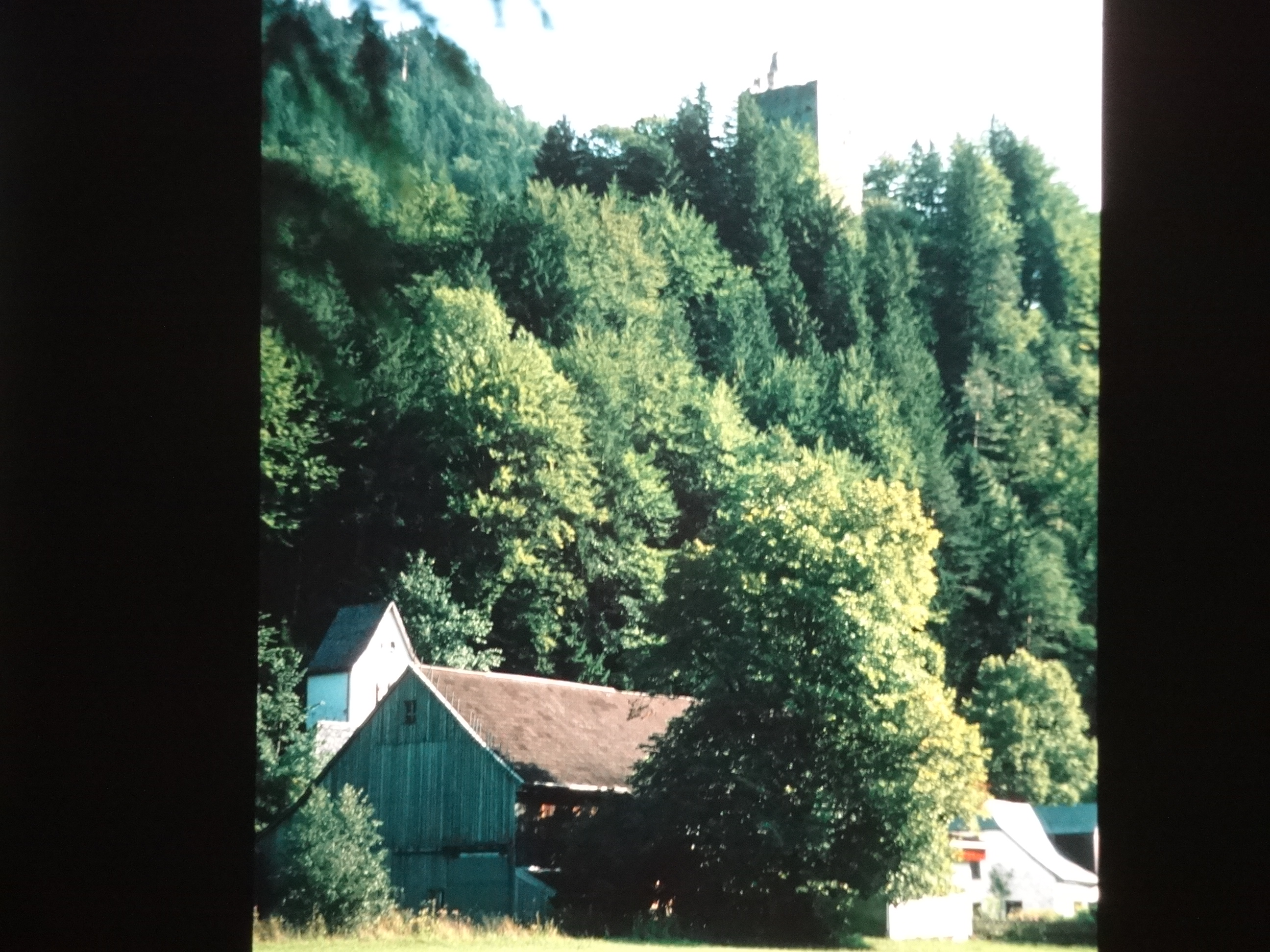 1997schoppernau190___von_Ordner___1997dias_schoppernau