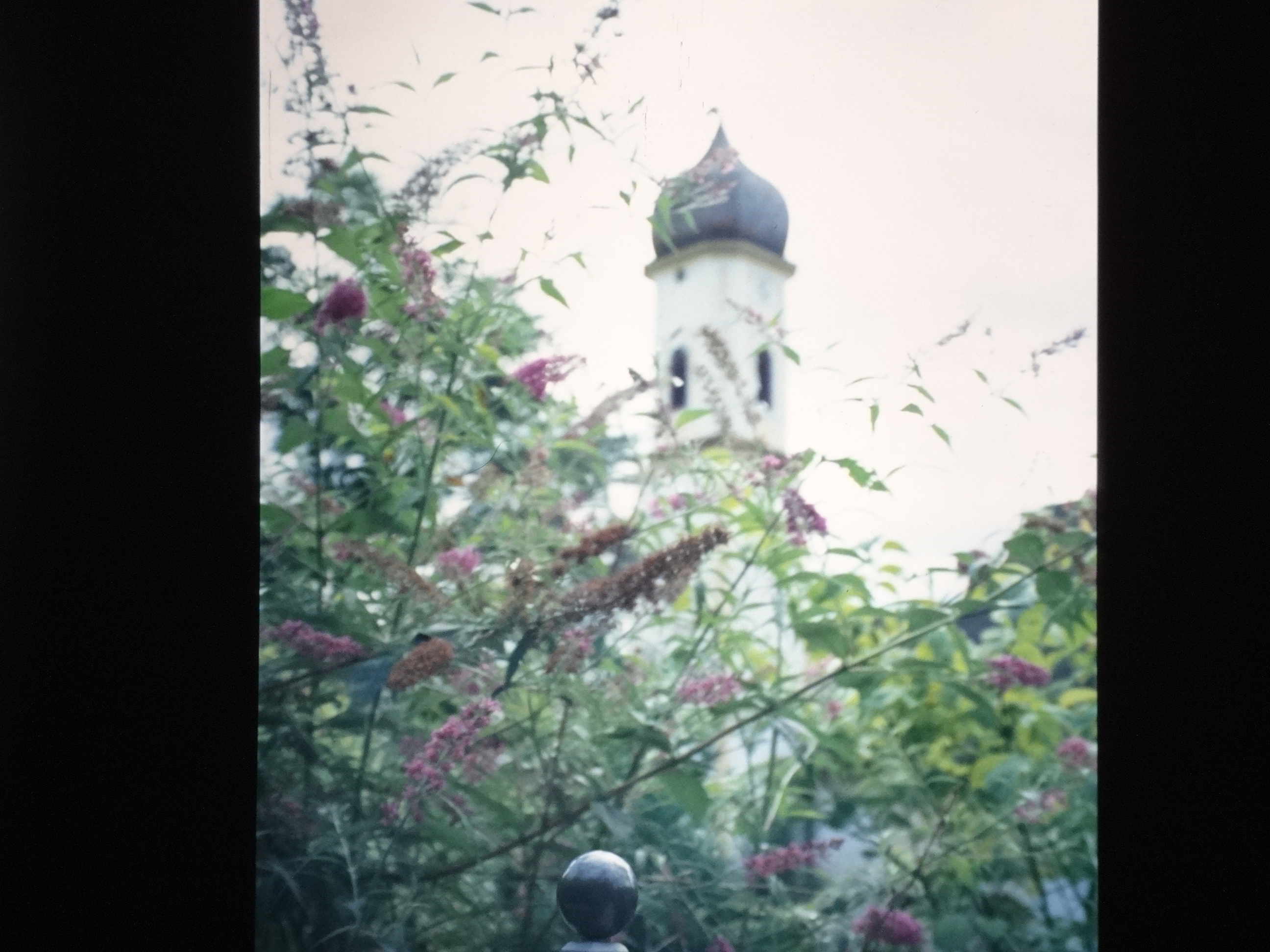 1997schoppernau260___von_Ordner___1997dias_schoppernau