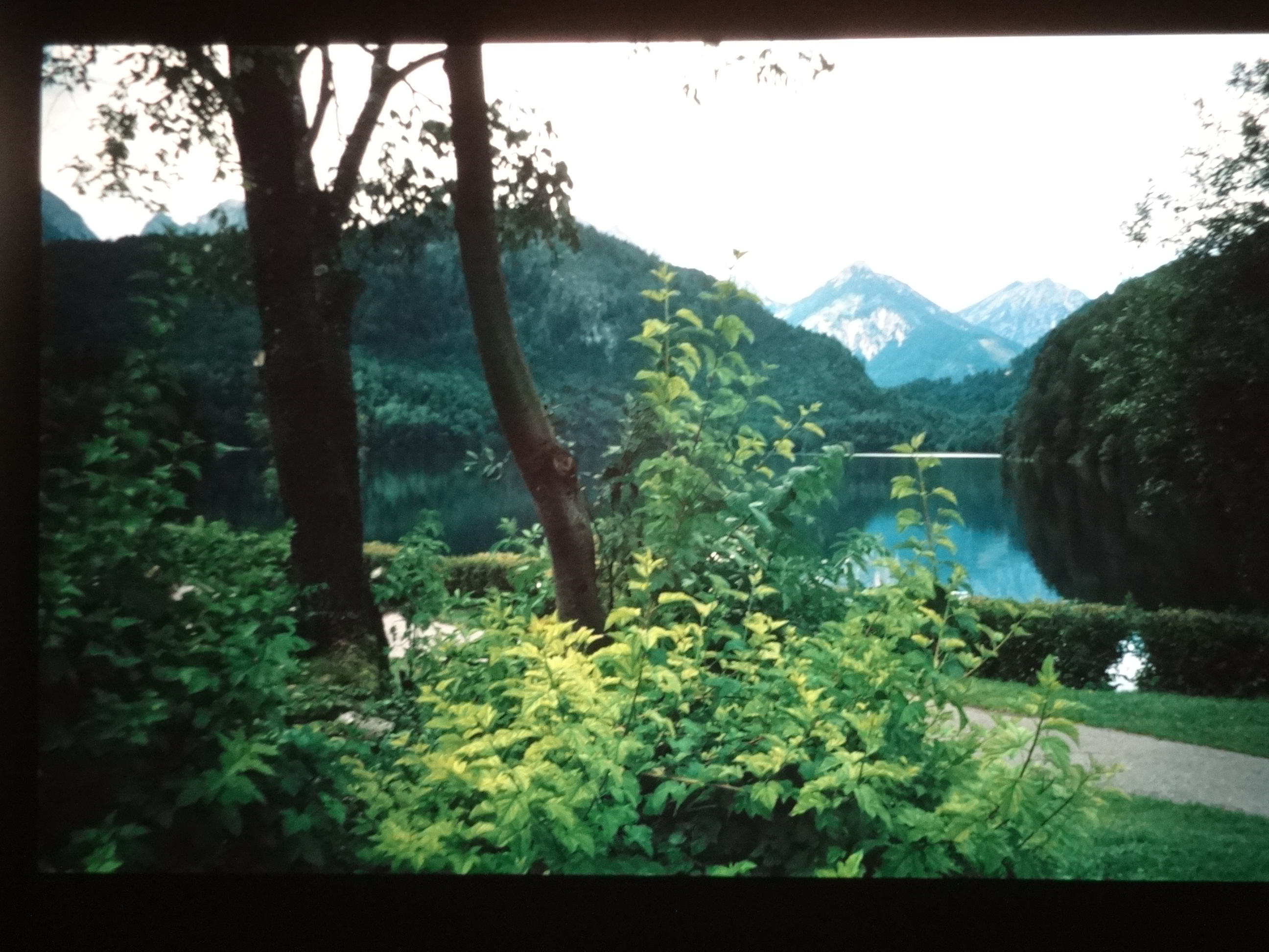 1997schoppernau270___von_Ordner___1997dias_schoppernau