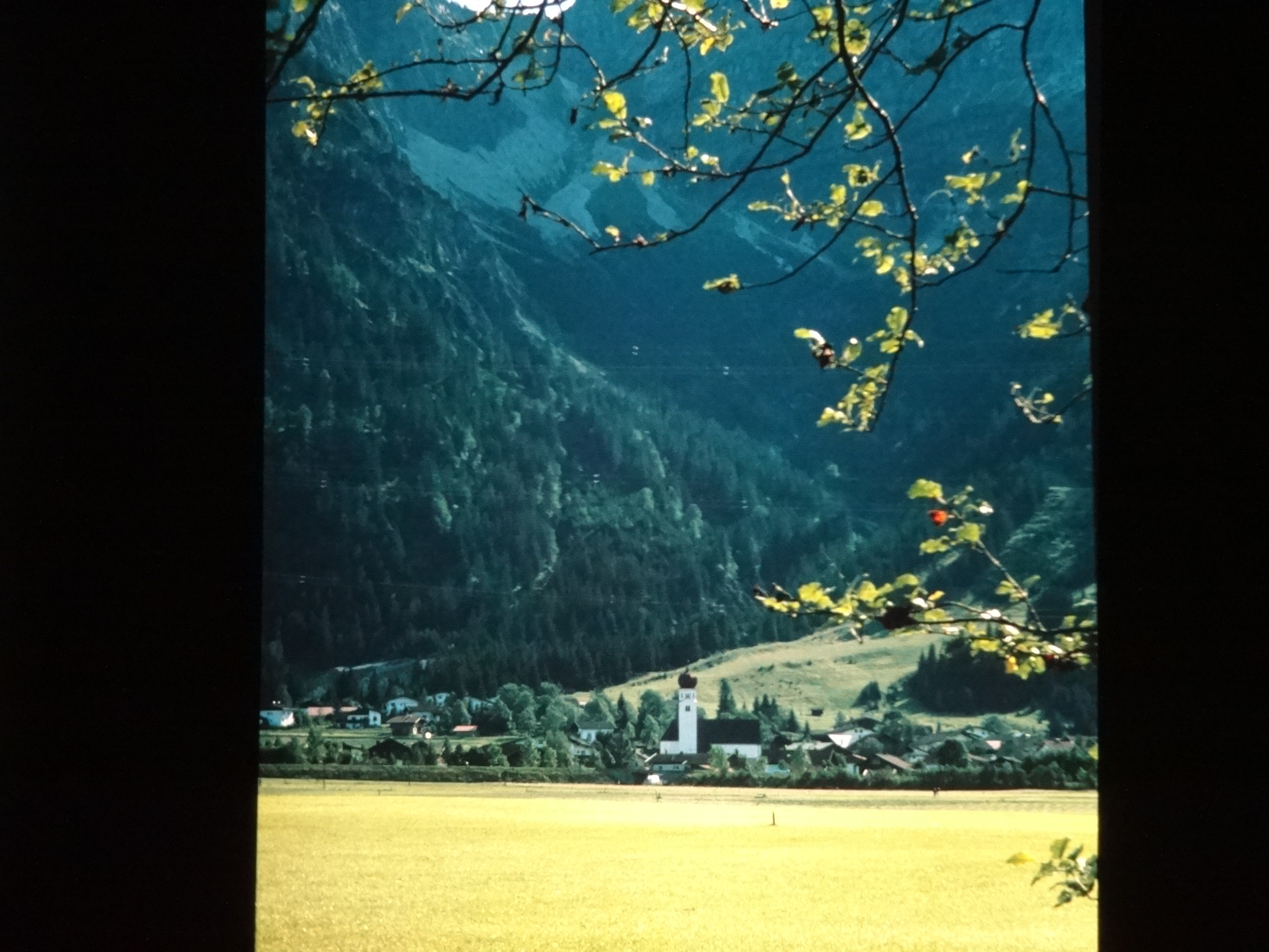 1997schoppernau300___von_Ordner___1997dias_schoppernau