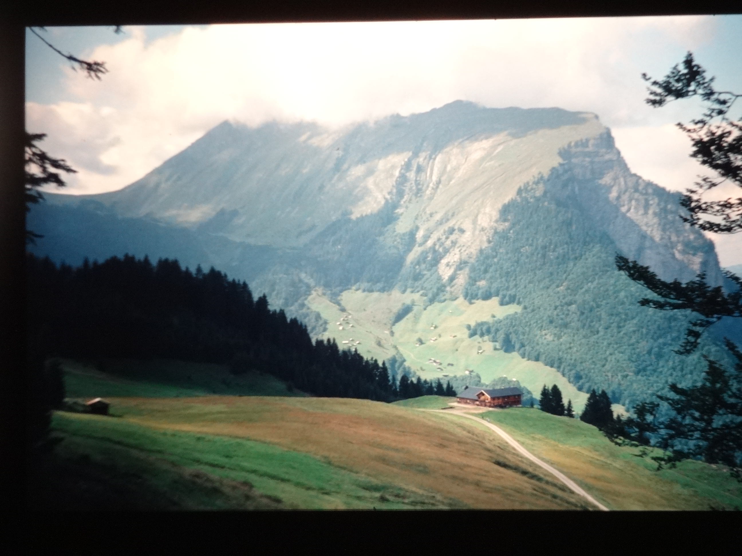 1998_pfronten030___von_Ordner___1998dias_pfronten