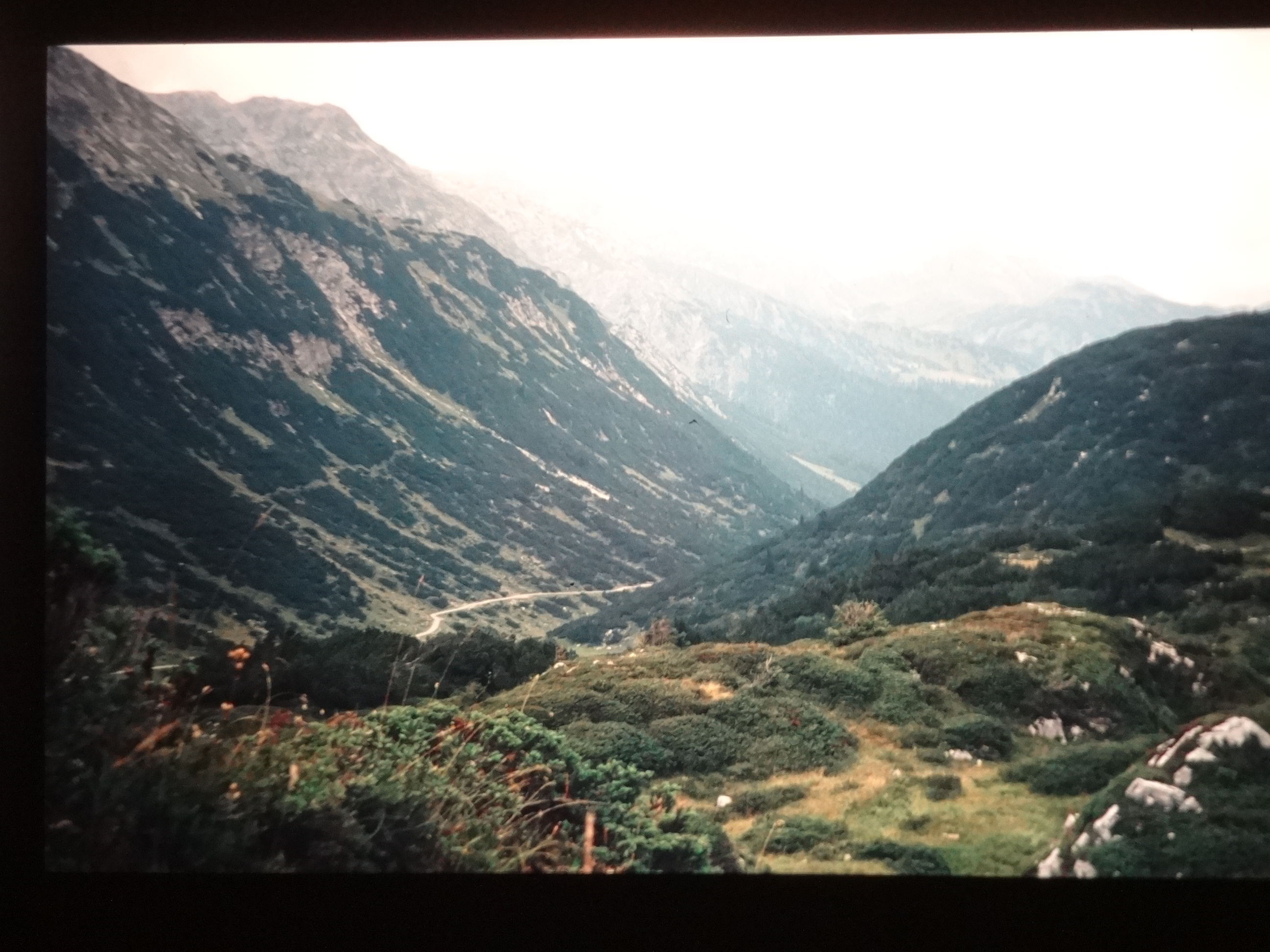 1998_pfronten050___von_Ordner___1998dias_pfronten