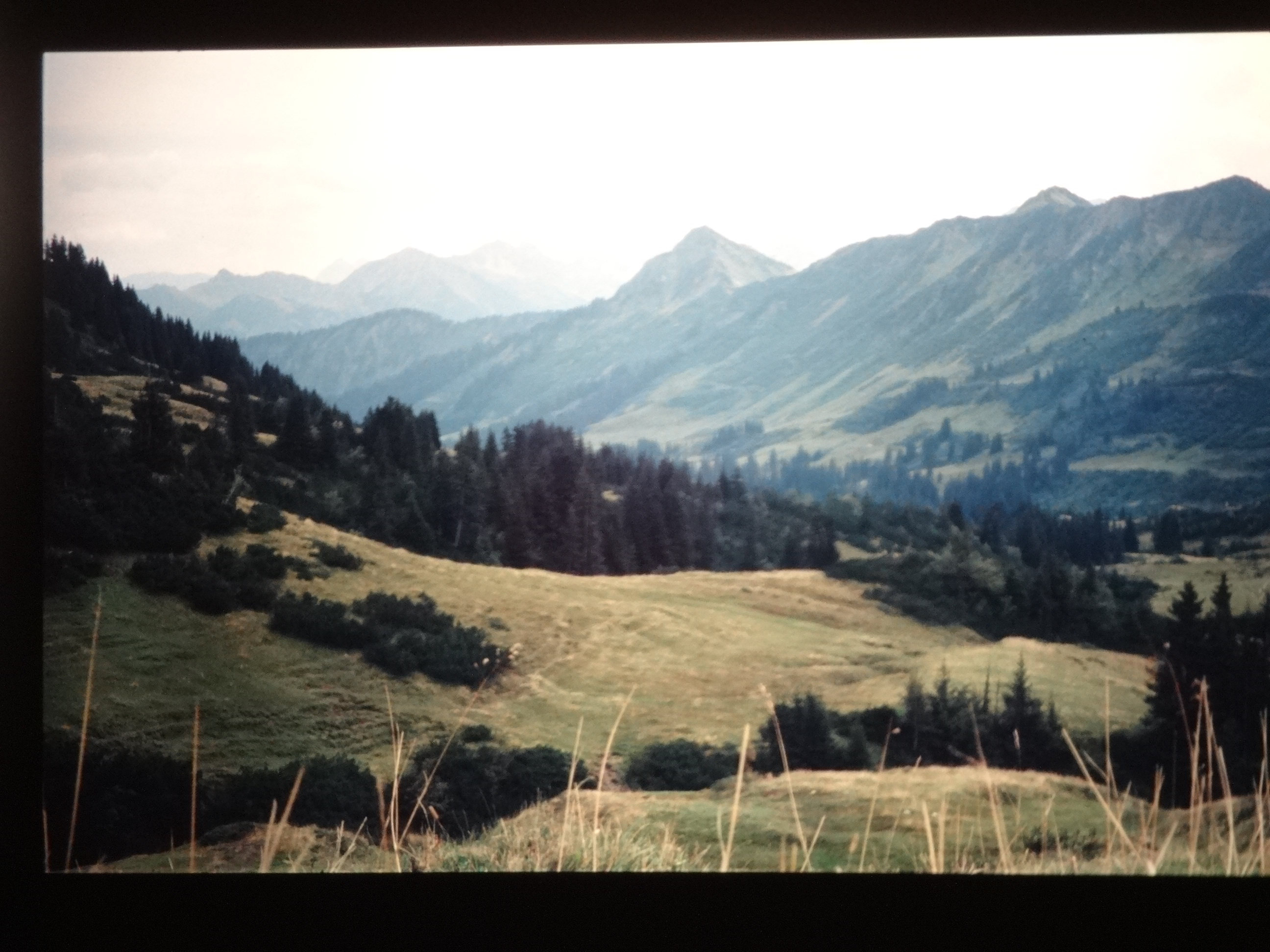 1998_pfronten160___von_Ordner___1998dias_pfronten